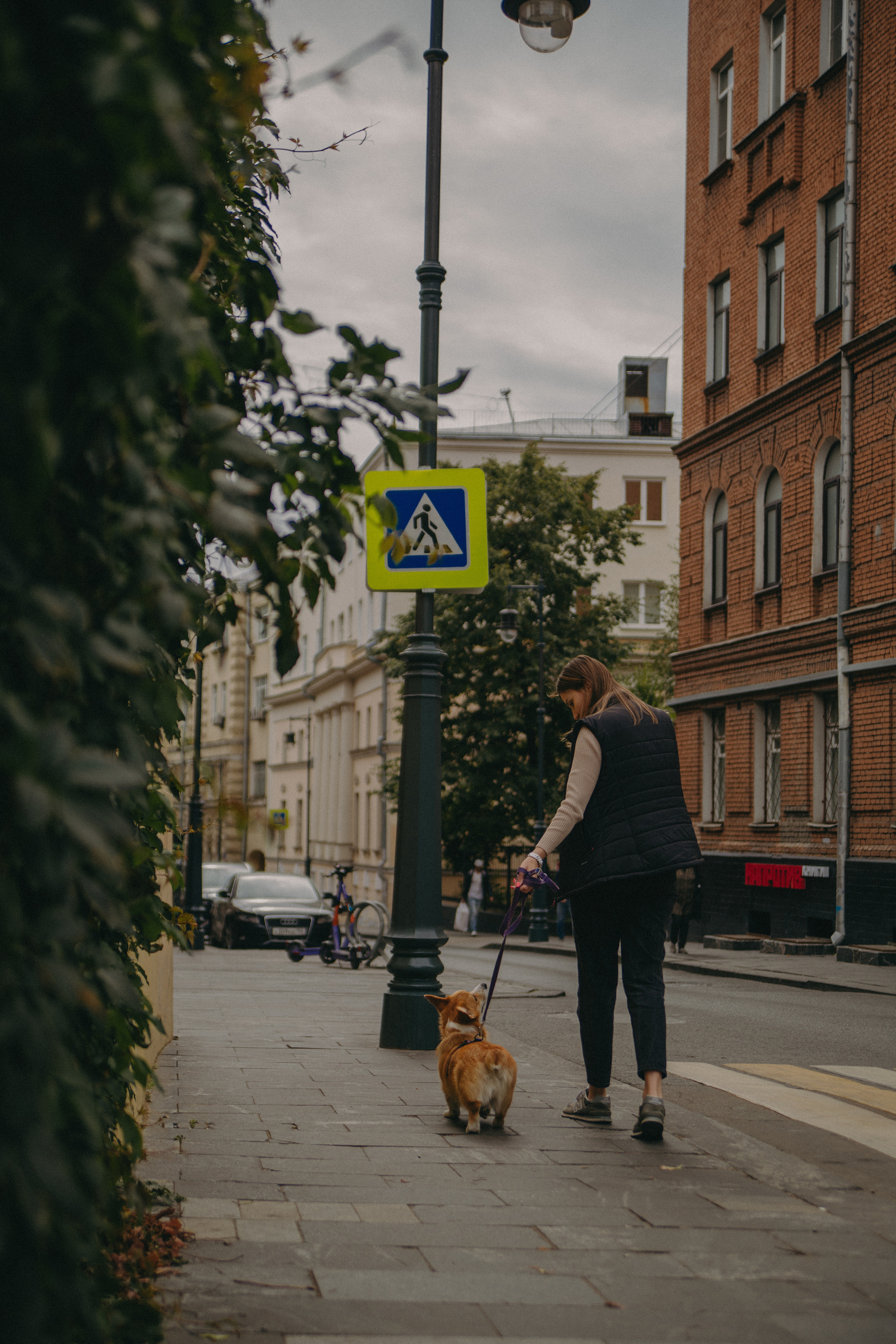 Dog story. Фотограф Москва • Уля Бузина💗