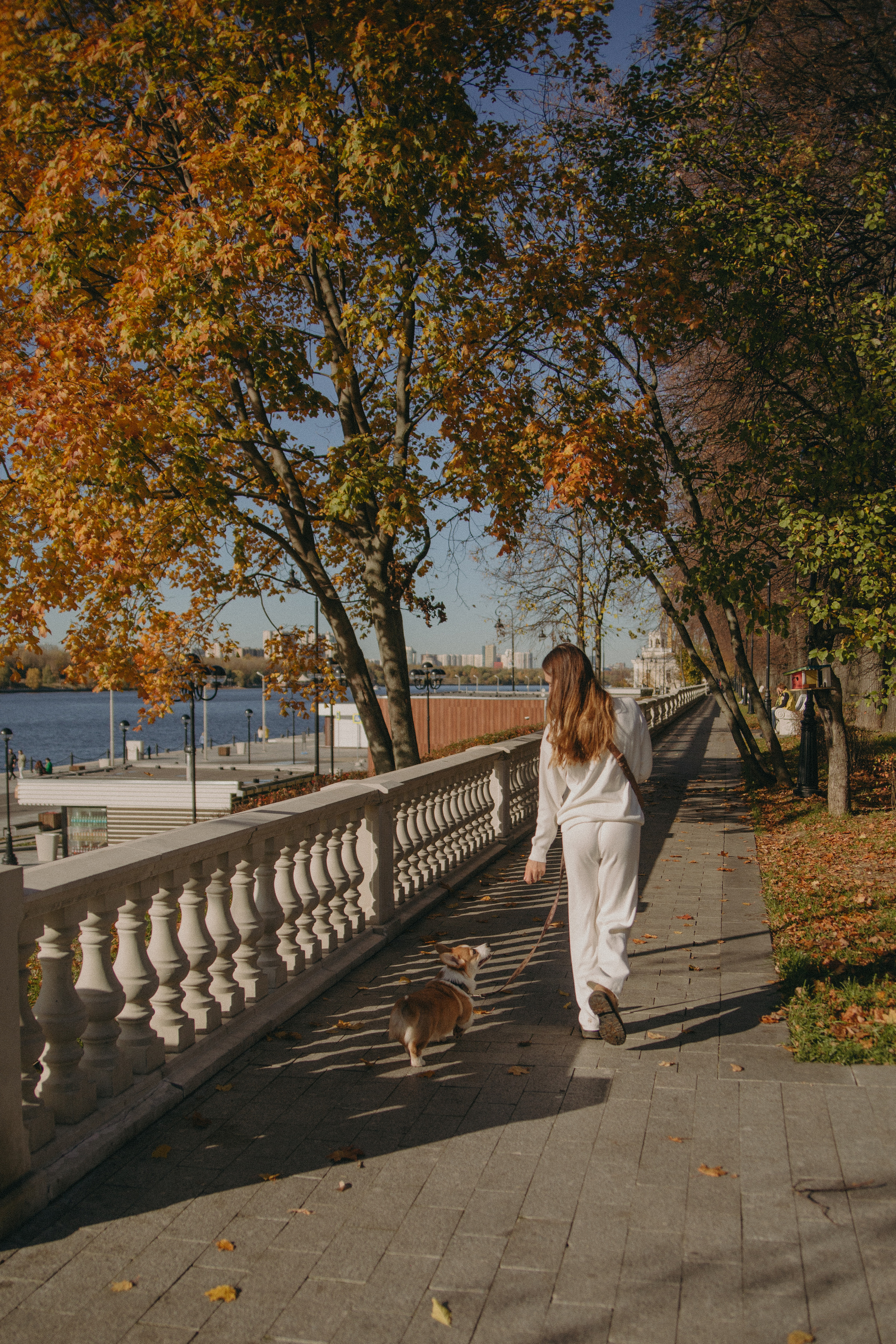 Dog story. Фотограф Москва • Уля Бузина💗