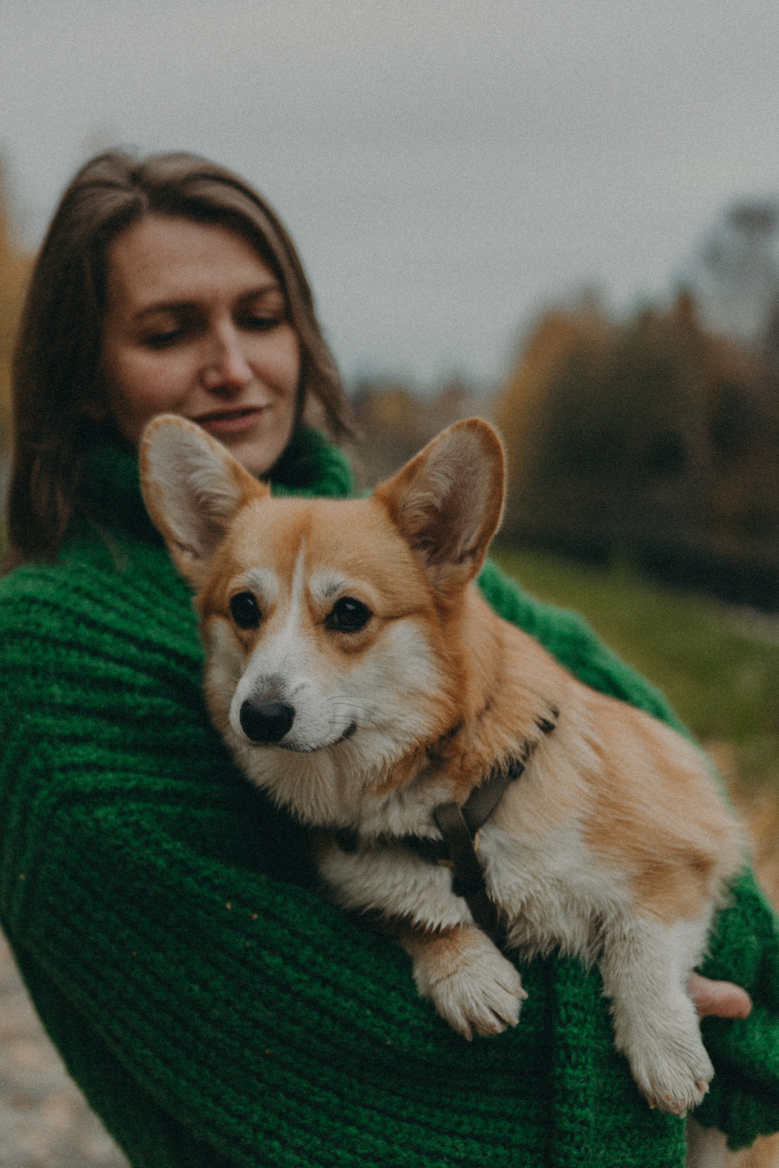 Dog story. Фотограф Москва • Уля Бузина💗