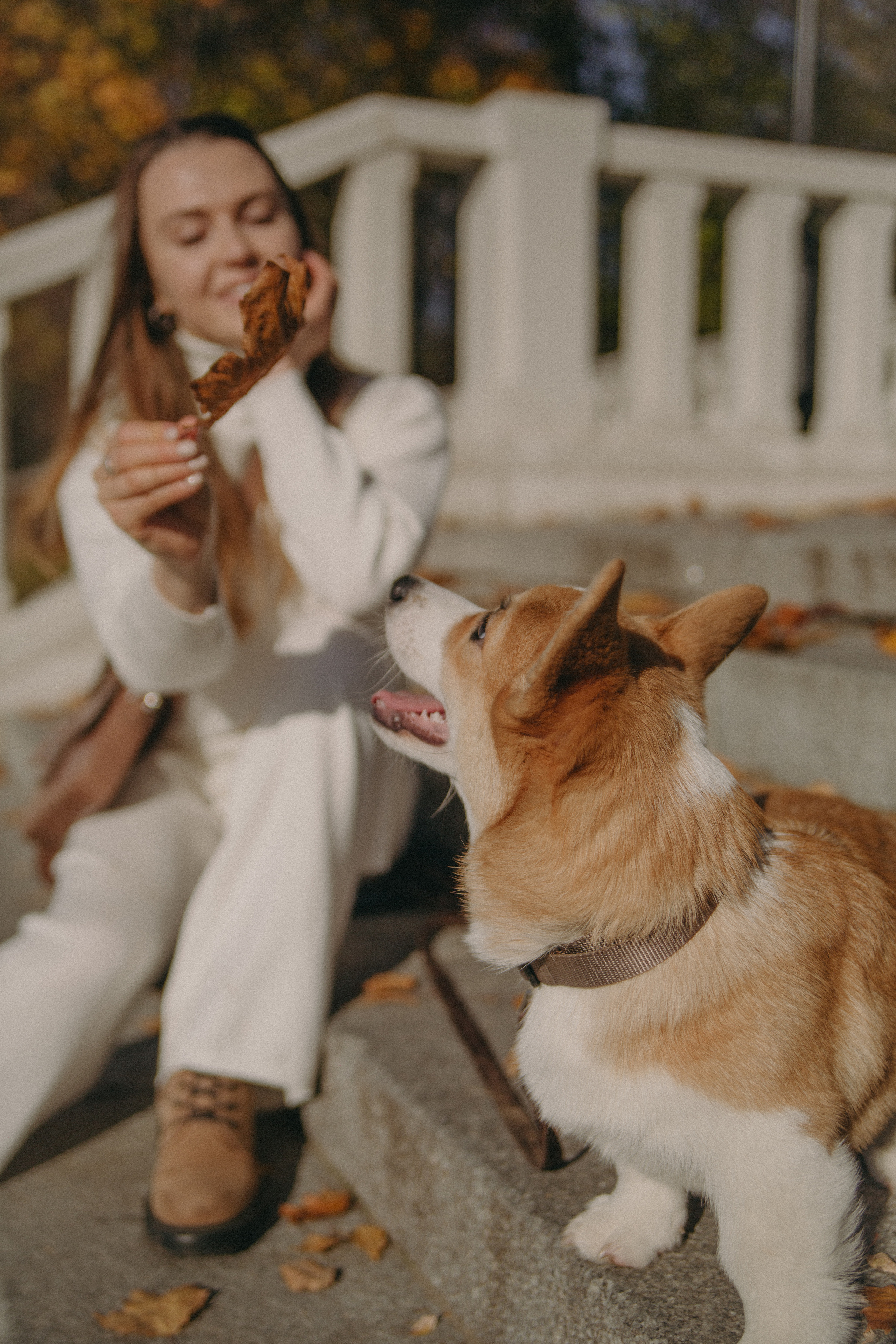 Dog story. Фотограф Москва • Уля Бузина💗