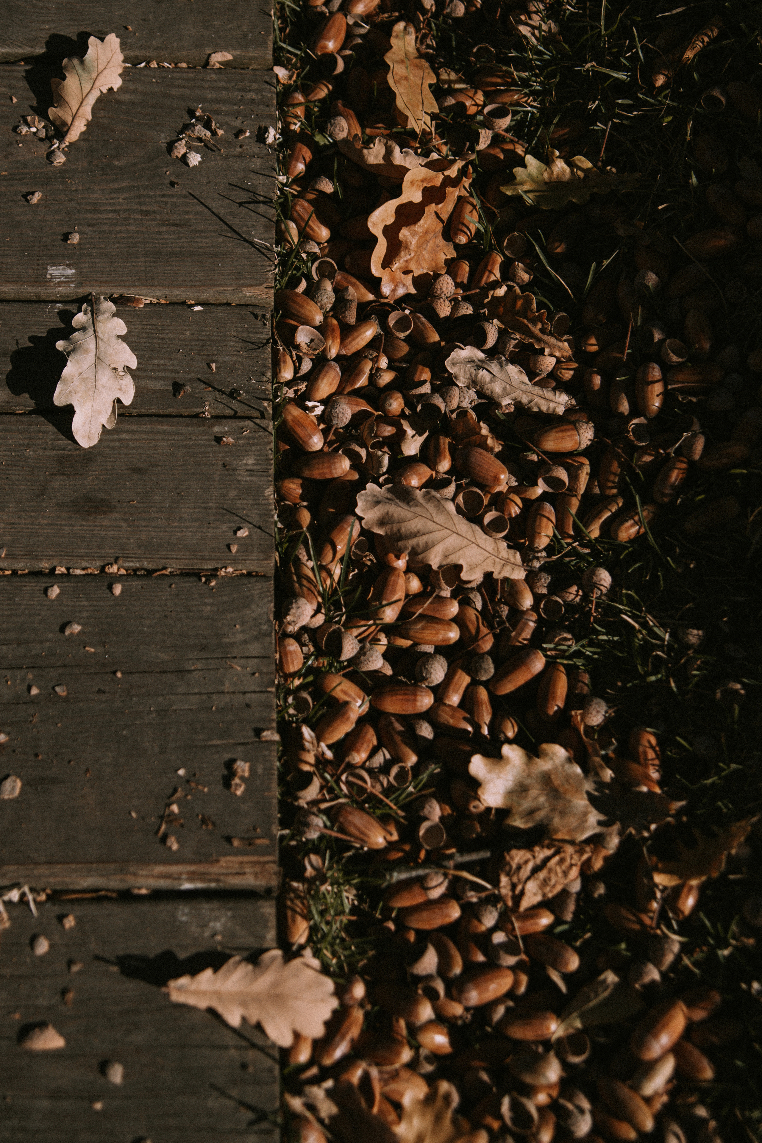 R O M A N O V S. Фотограф Москва • Уля Бузина💗