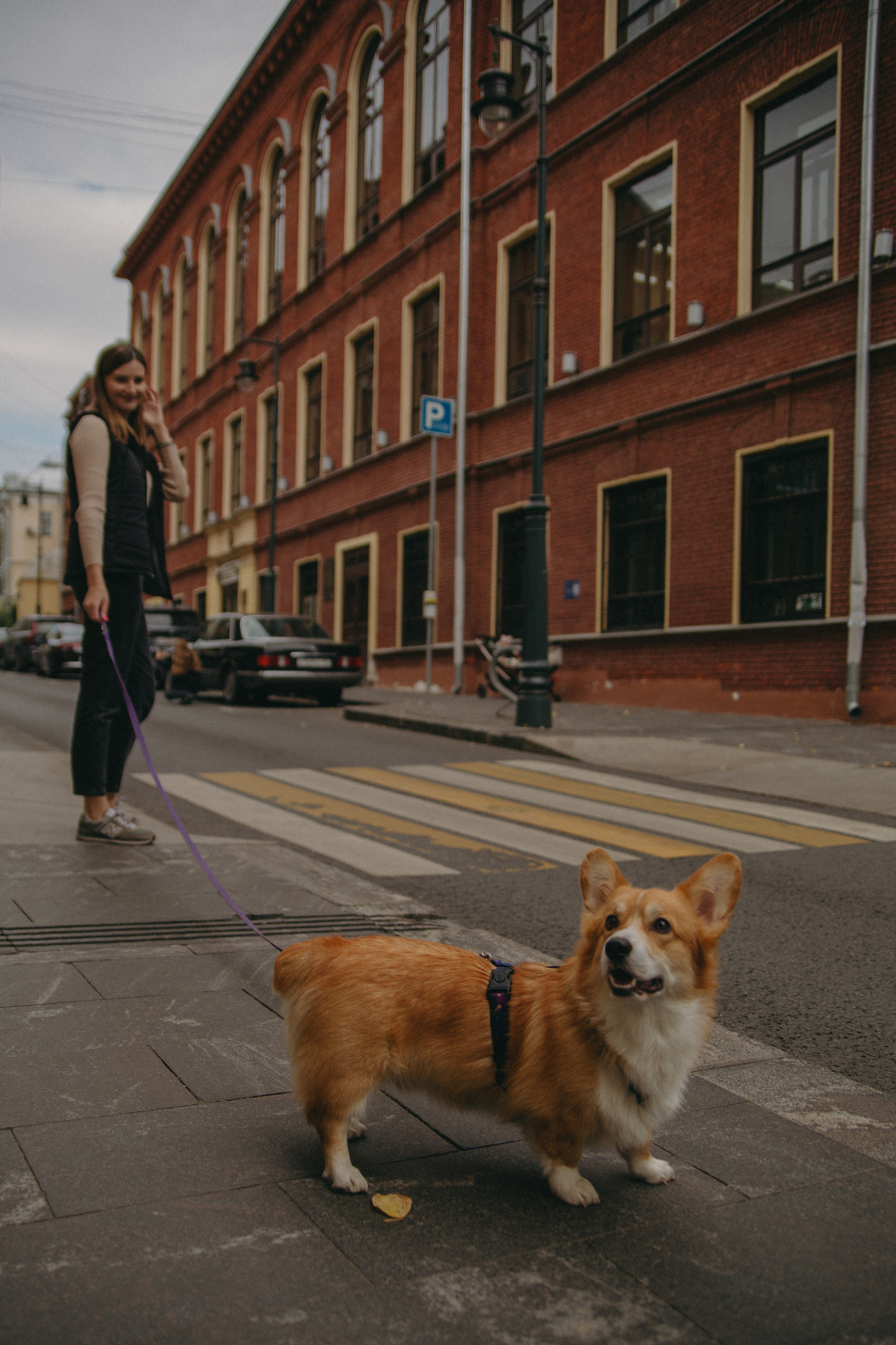 Dog story. Фотограф Москва • Уля Бузина💗