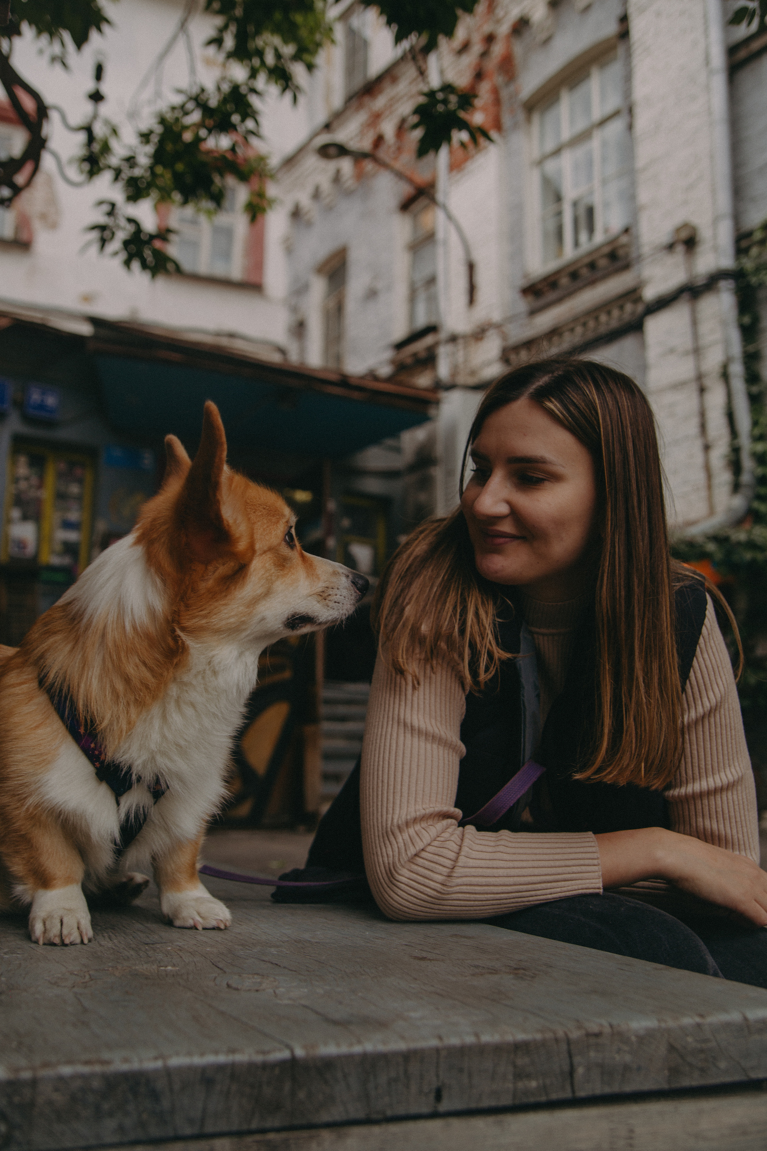 Dog story. Фотограф Москва • Уля Бузина💗