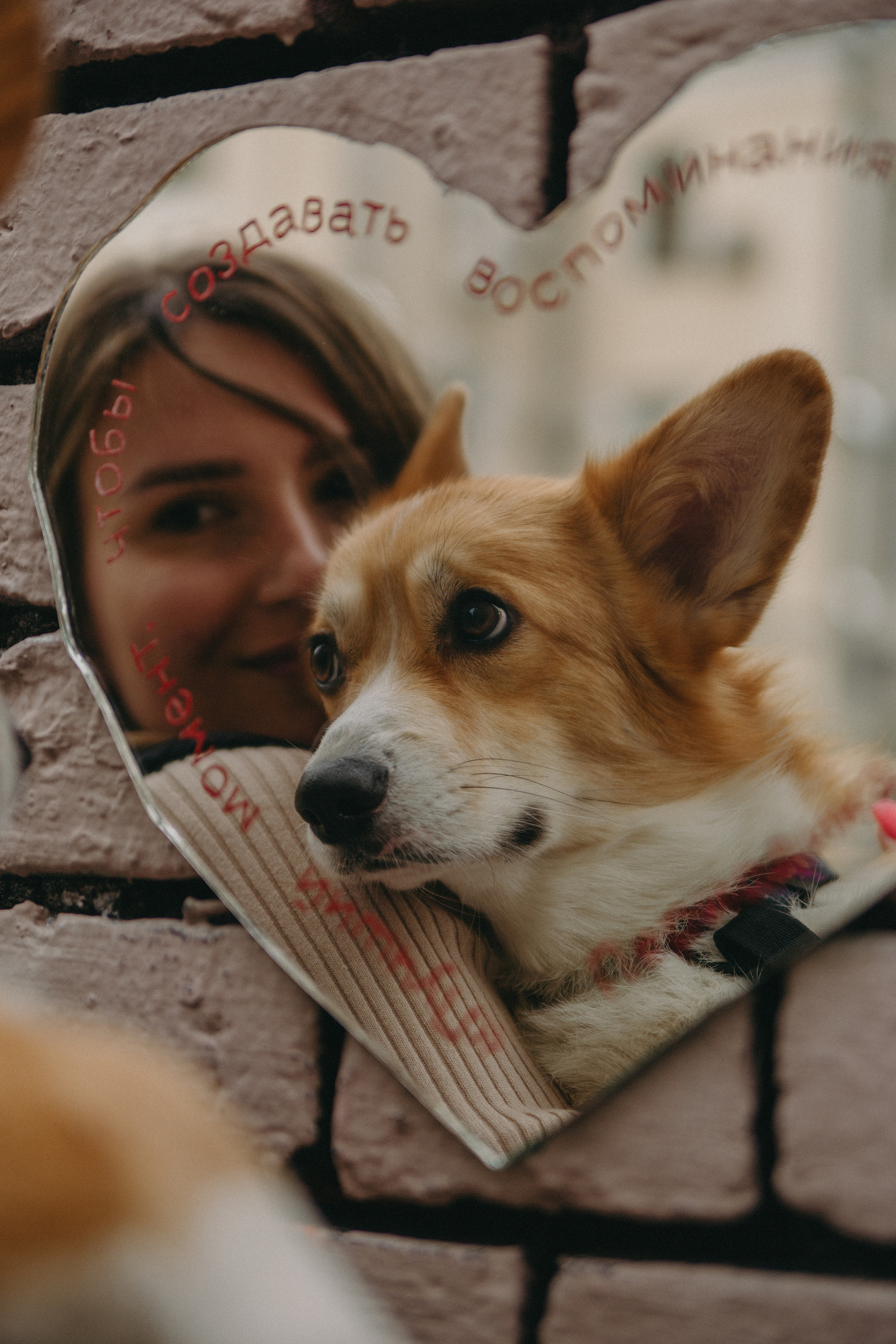 Dog story. Фотограф Москва • Уля Бузина💗