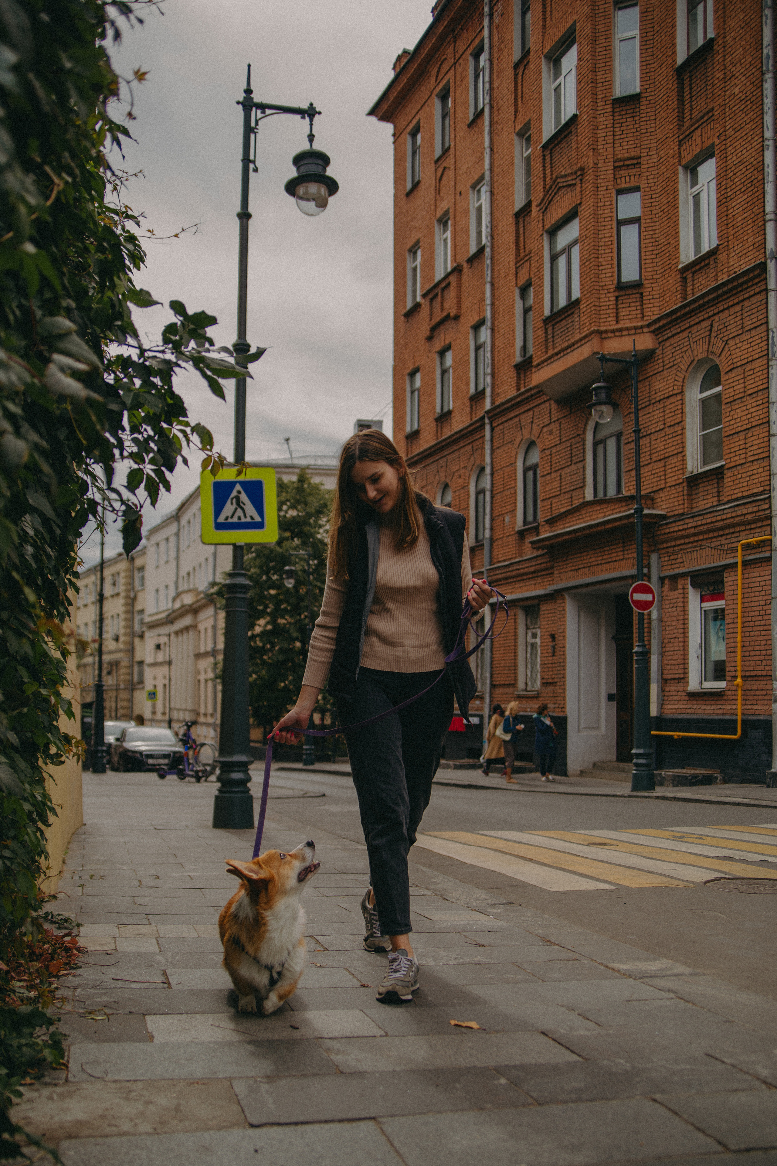 Dog story. Фотограф Москва • Уля Бузина💗