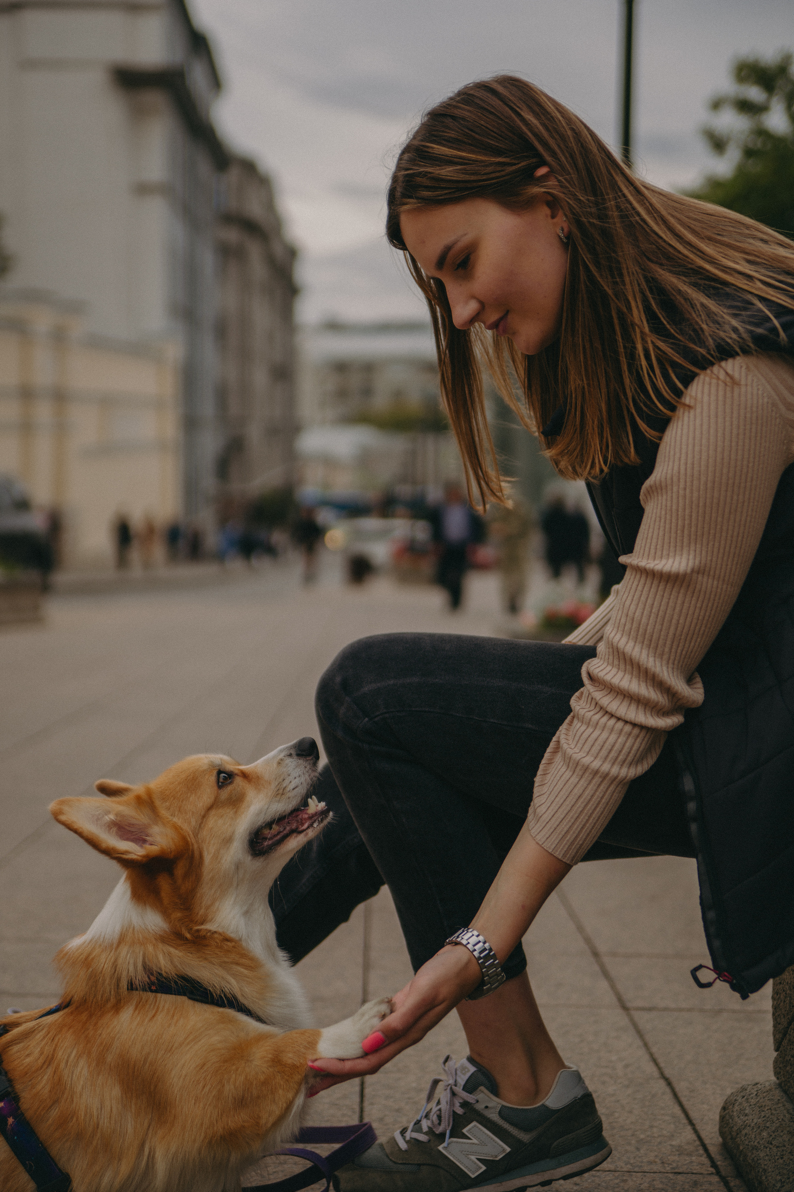 Dog story. Фотограф Москва • Уля Бузина💗