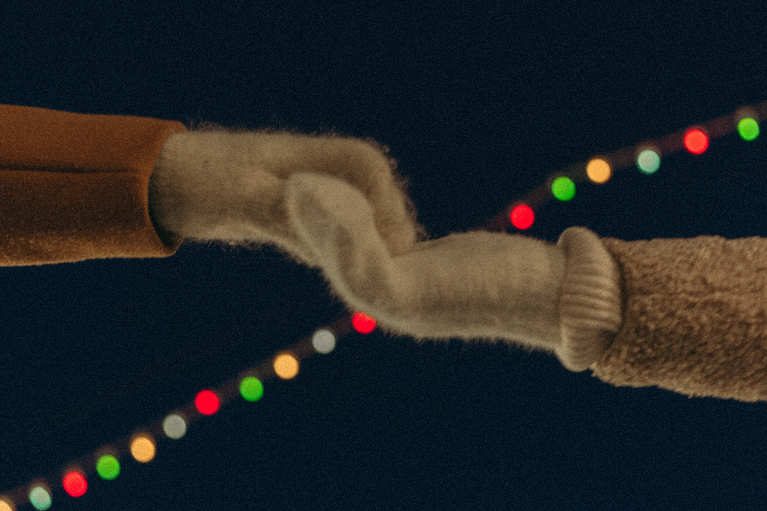 Любовь. Фотограф Москва • Уля Бузина💗