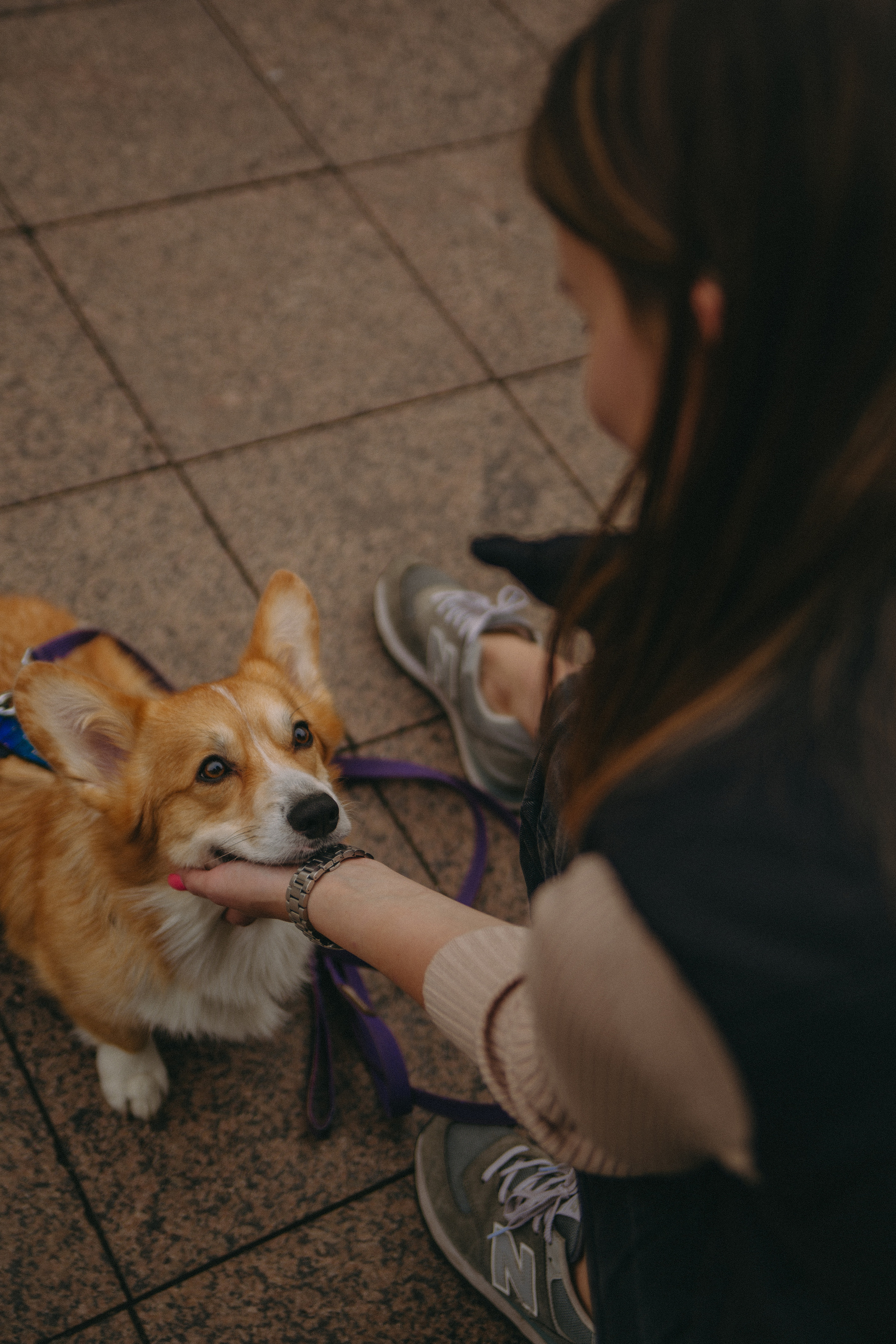 Алина и Купер. Фотограф Москва • Уля Бузина💗