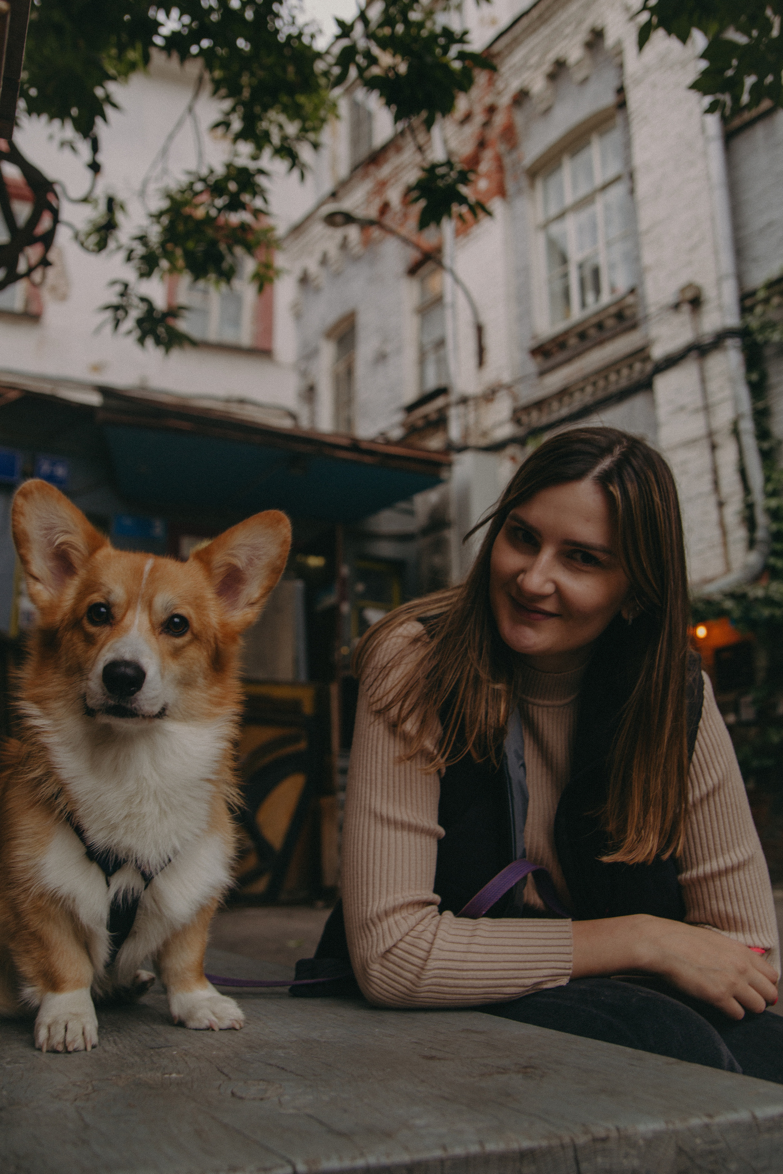Dog story. Фотограф Москва • Уля Бузина💗