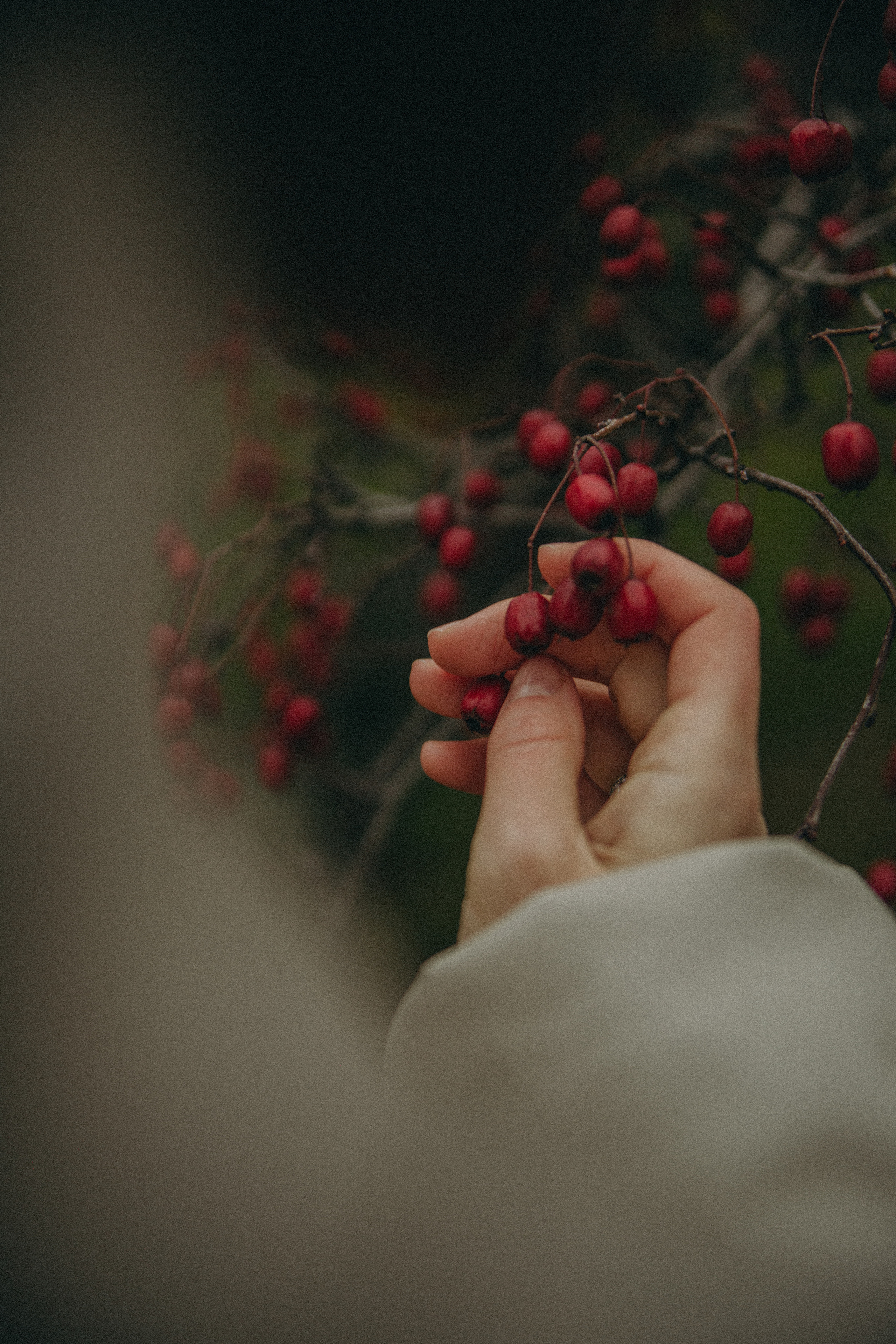 Диана. Фотограф Москва • Уля Бузина💗