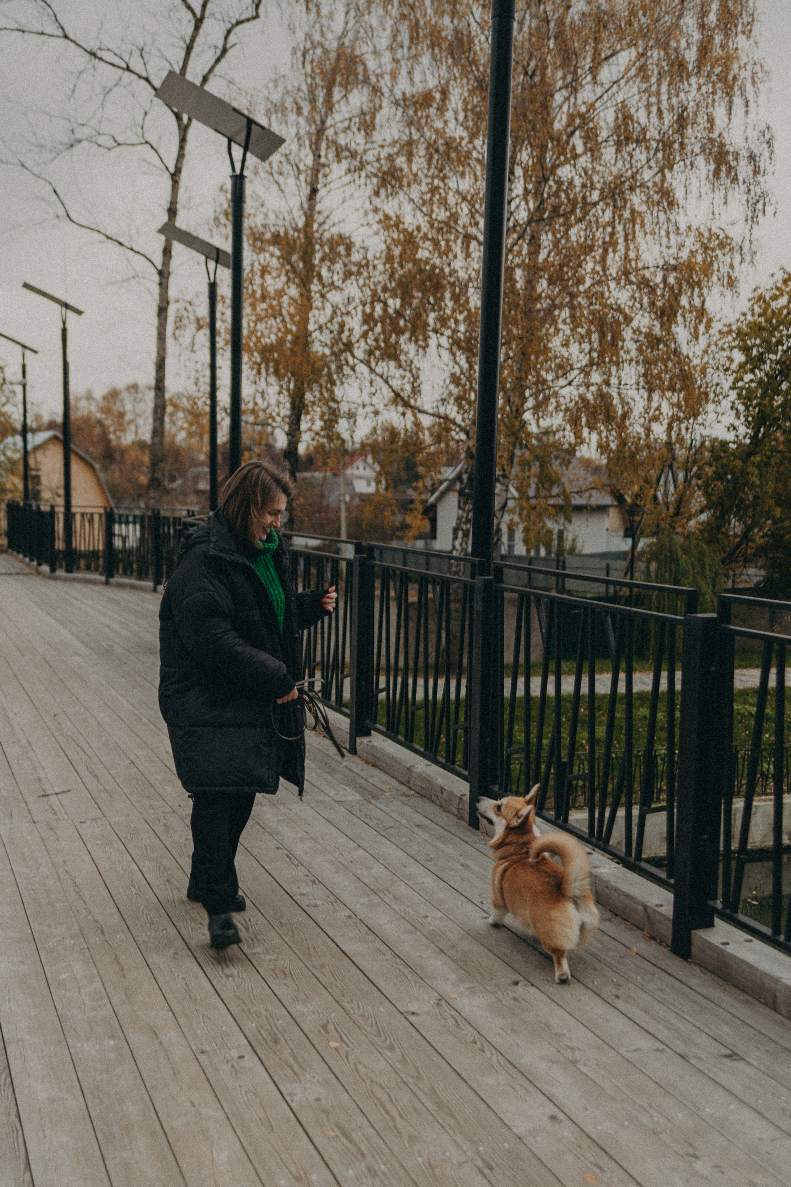 Dog story. Фотограф Москва • Уля Бузина💗