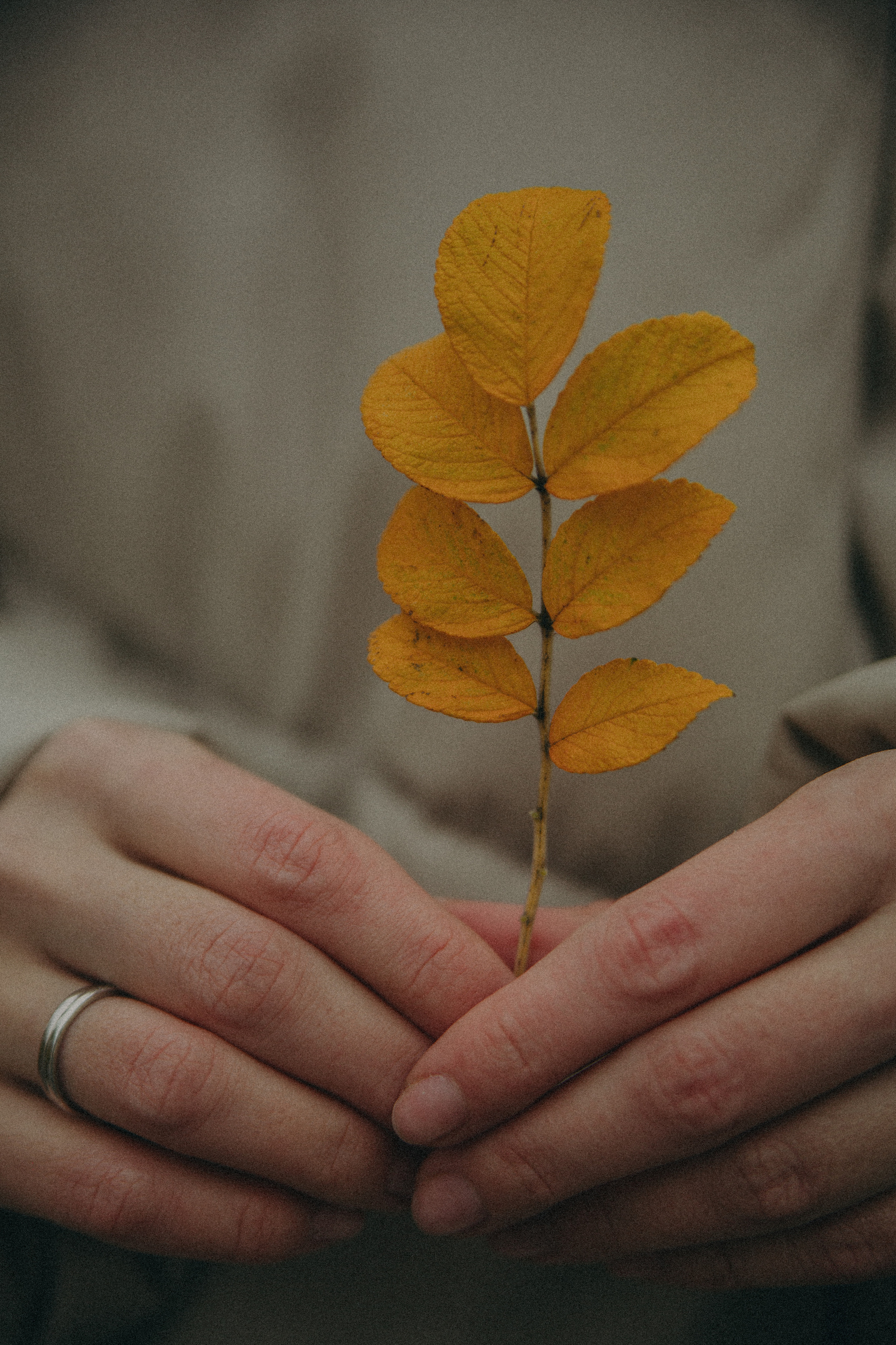 Диана. Фотограф Москва • Уля Бузина💗