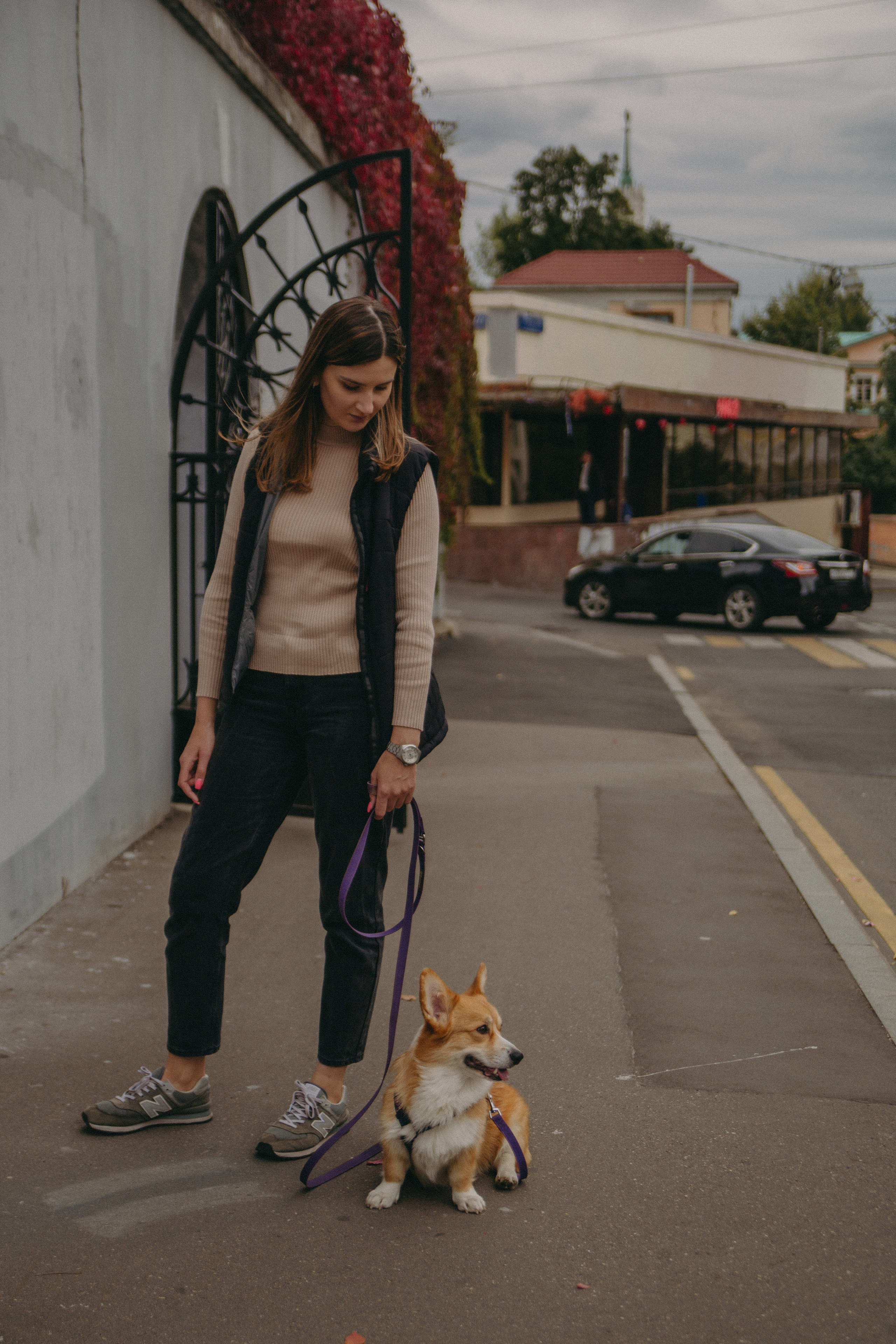 Dog story. Фотограф Москва • Уля Бузина💗