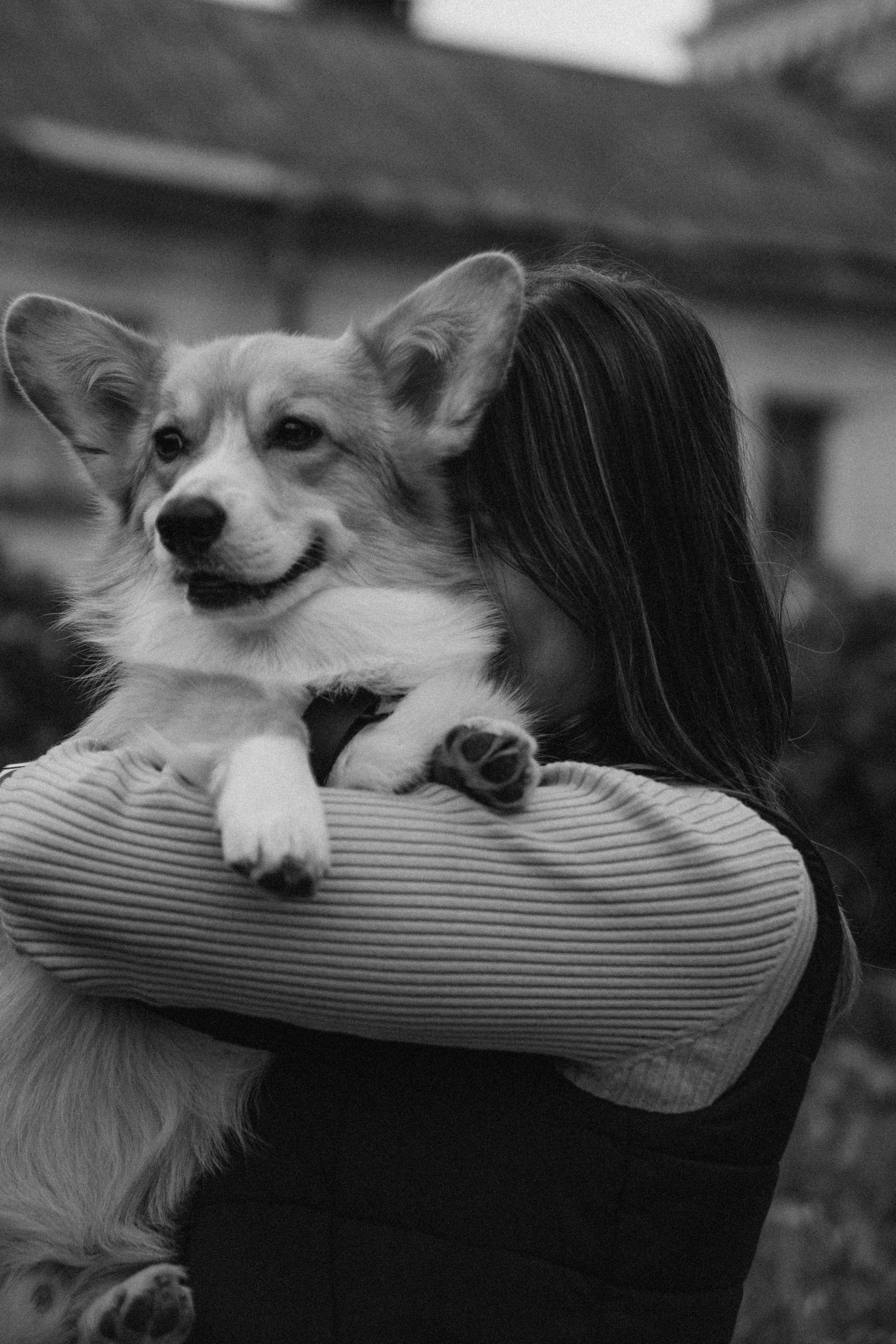 Dog story. Фотограф Москва • Уля Бузина💗