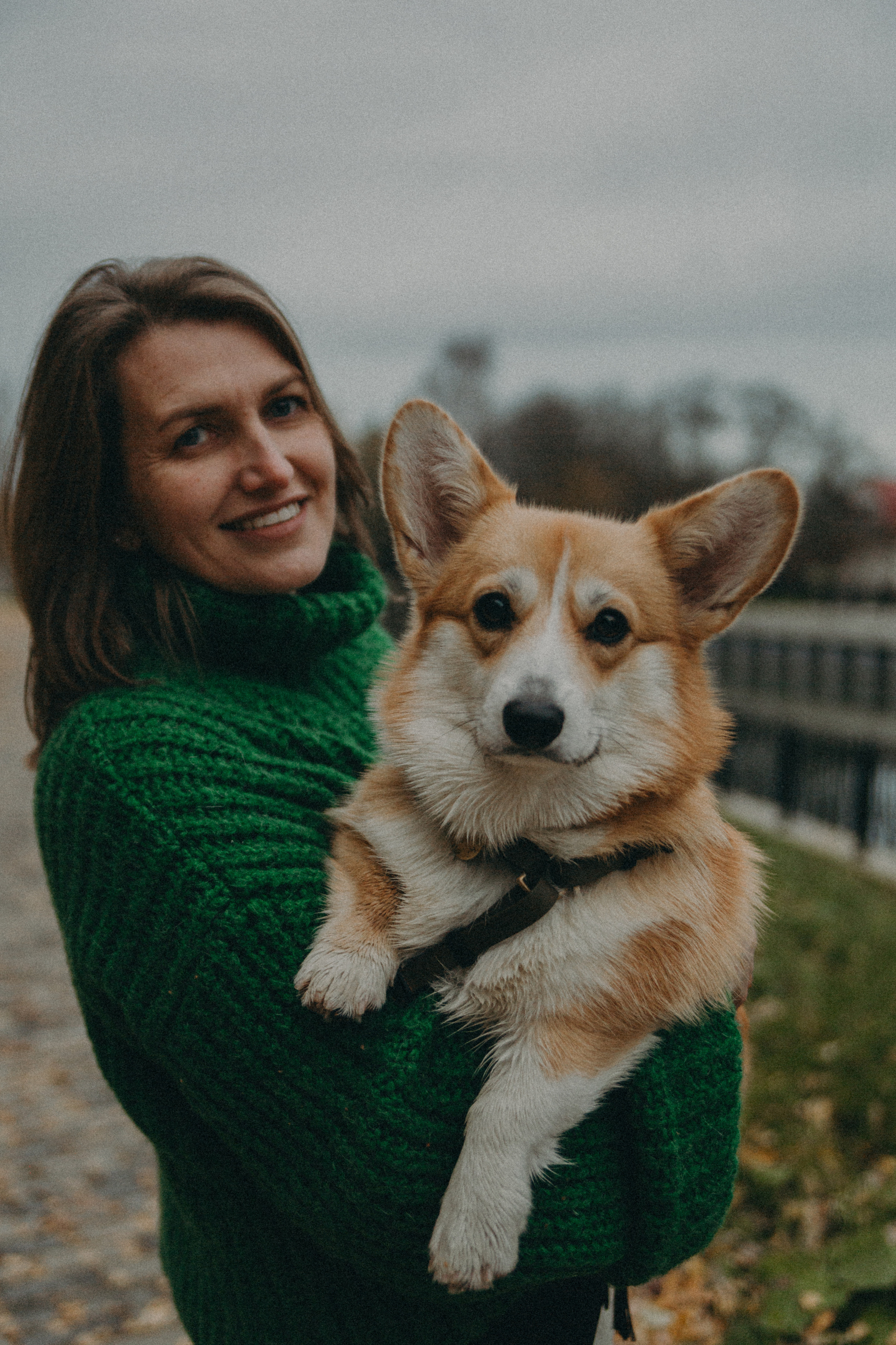 Dog story. Фотограф Москва • Уля Бузина💗