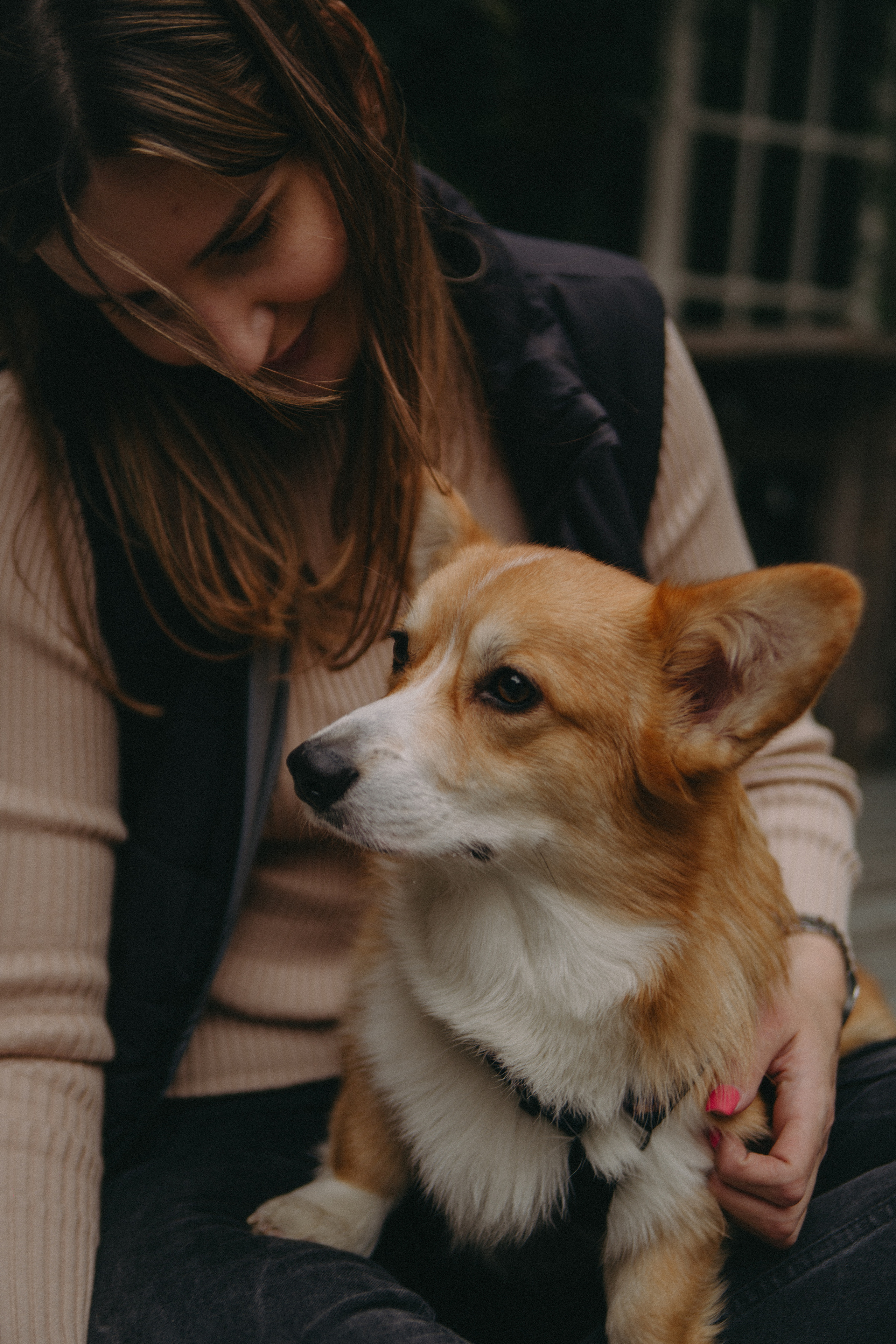 Dog story. Фотограф Москва • Уля Бузина💗