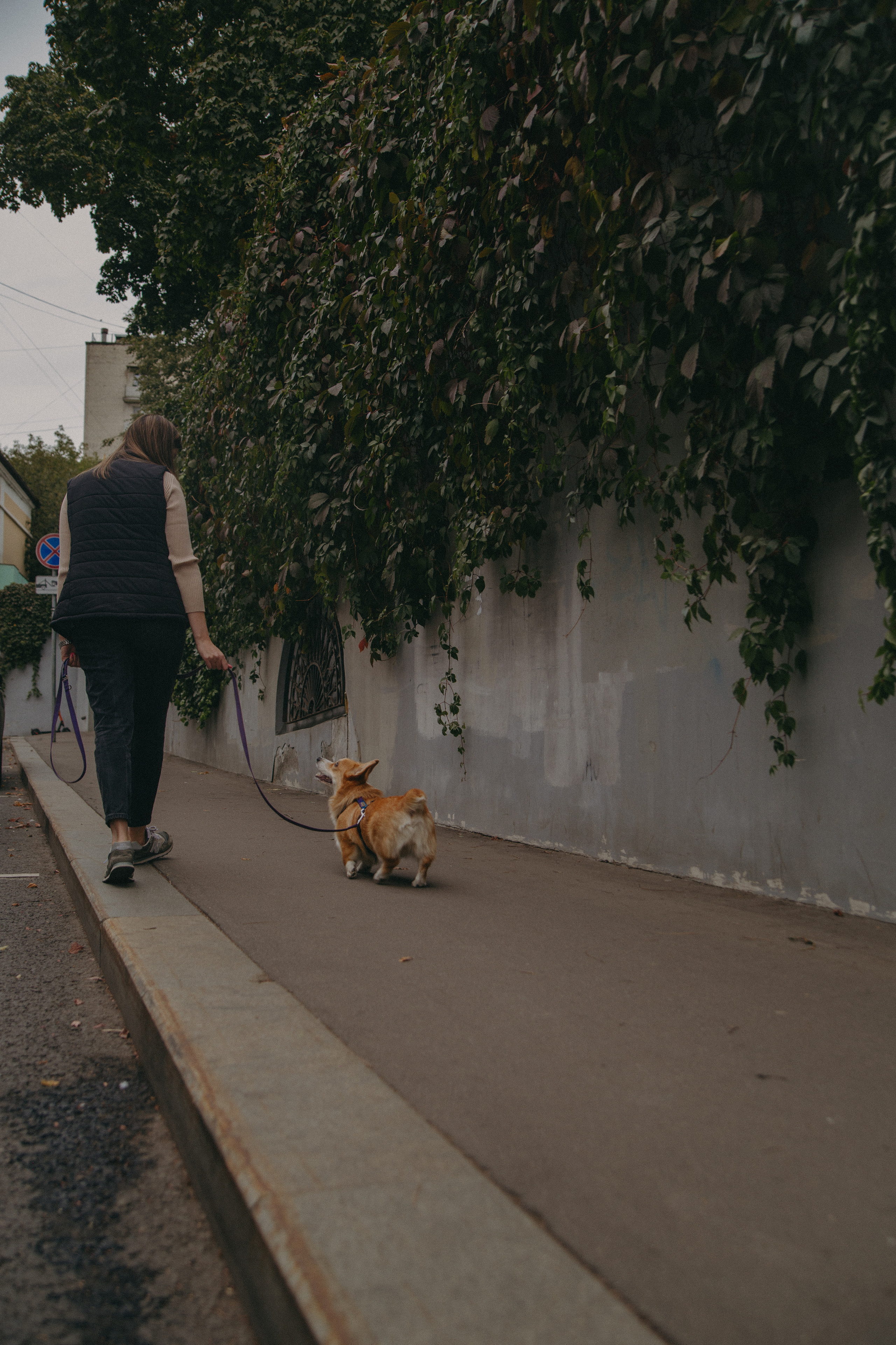 Алина и Купер. Фотограф Москва • Уля Бузина💗