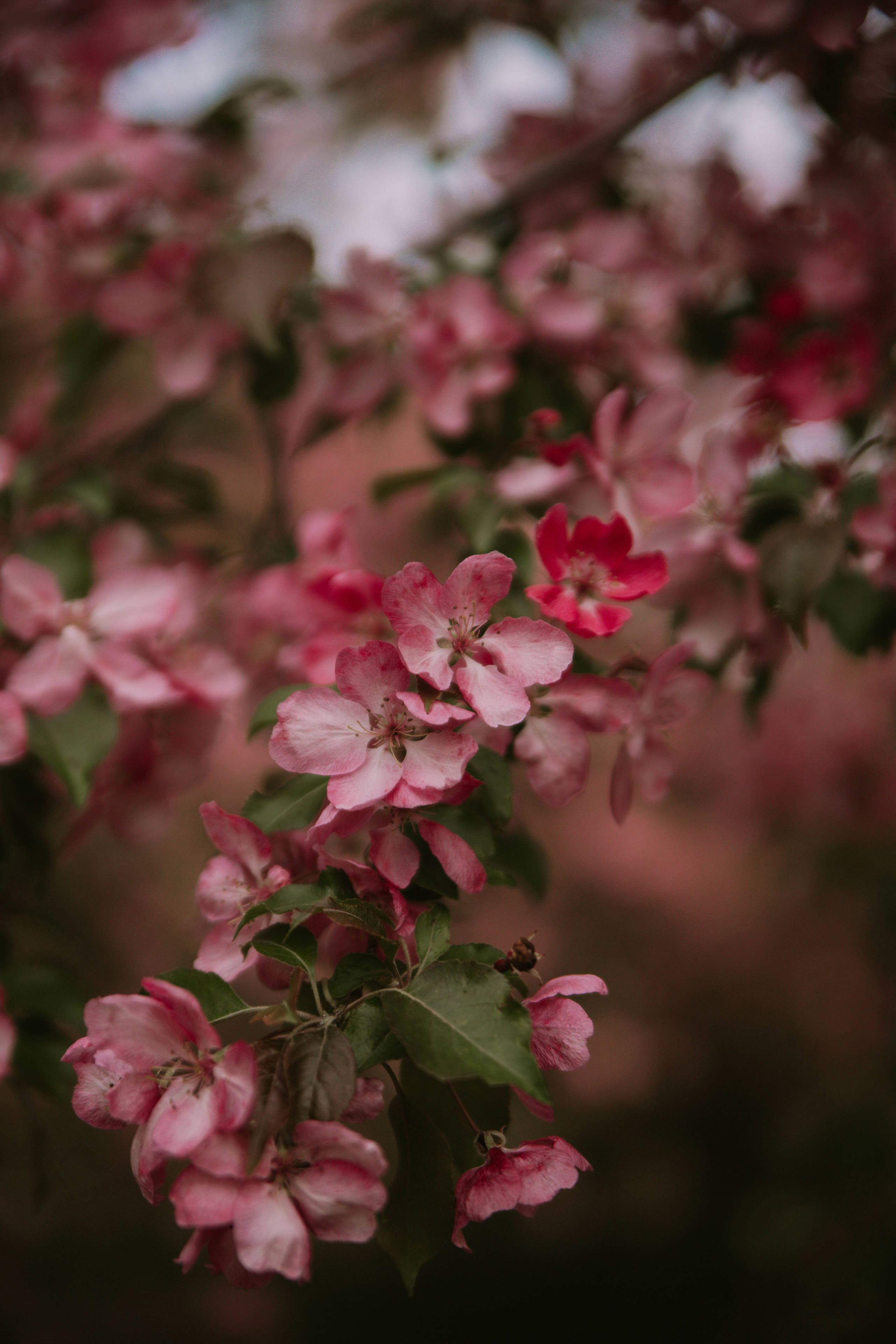 Надя. Фотограф Москва • Уля Бузина💗
