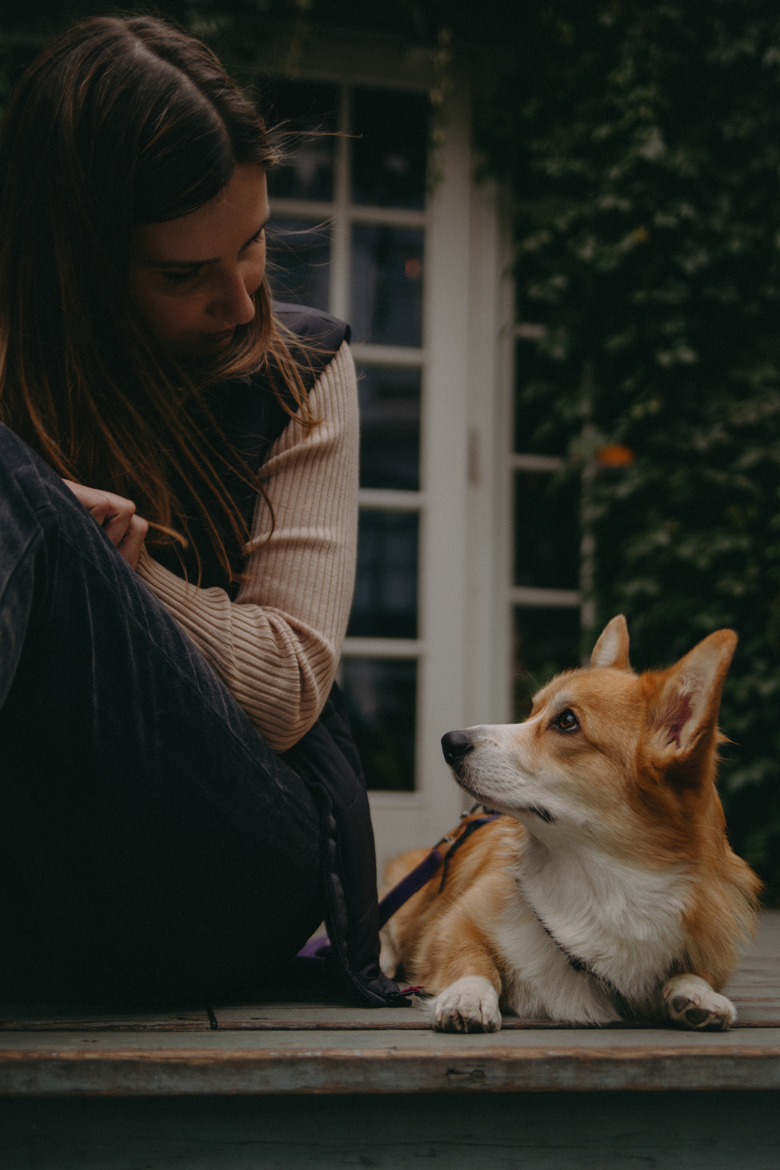 Dog story. Фотограф Москва • Уля Бузина💗