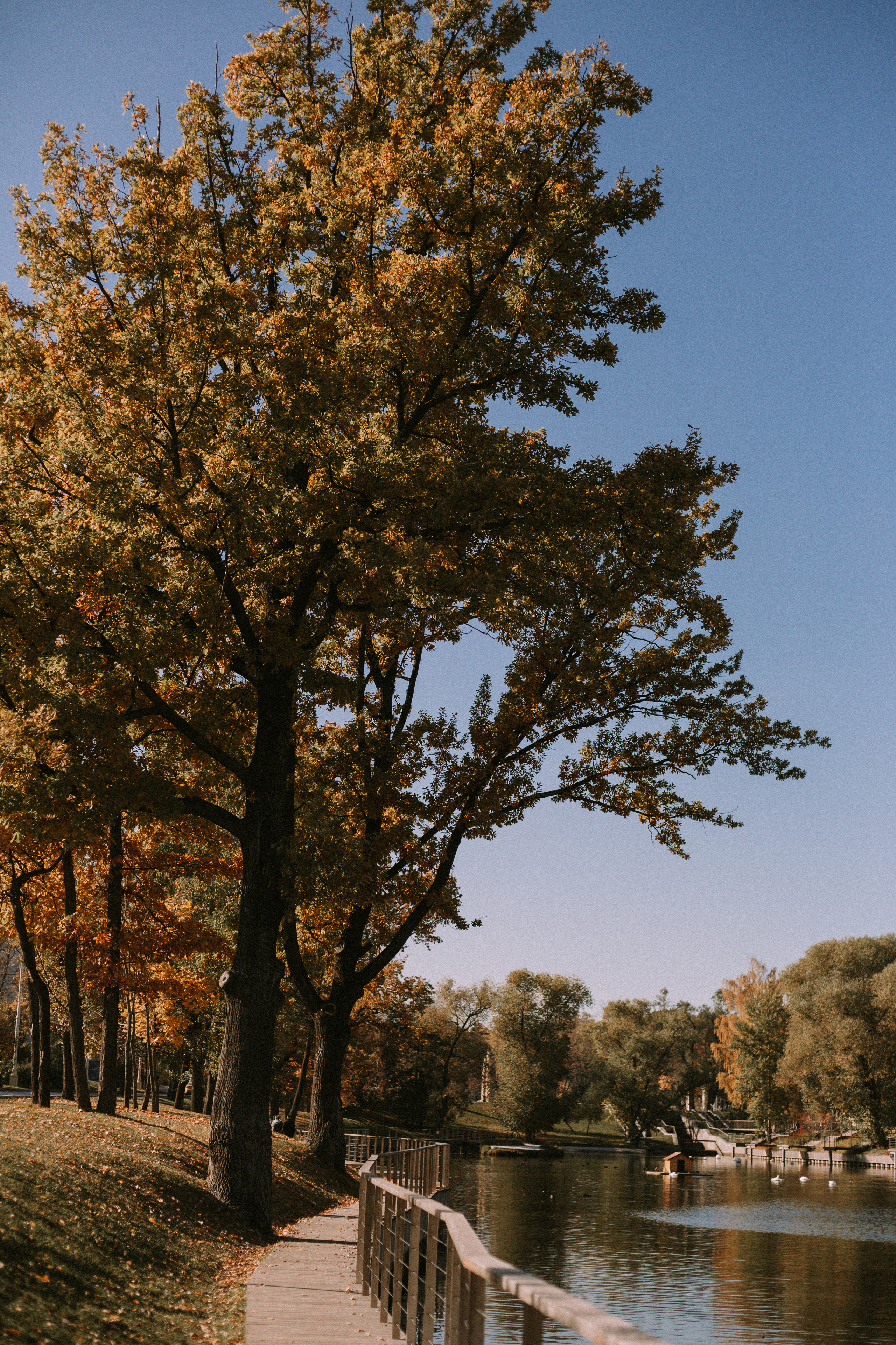 R O M A N O V S. Фотограф Москва • Уля Бузина💗