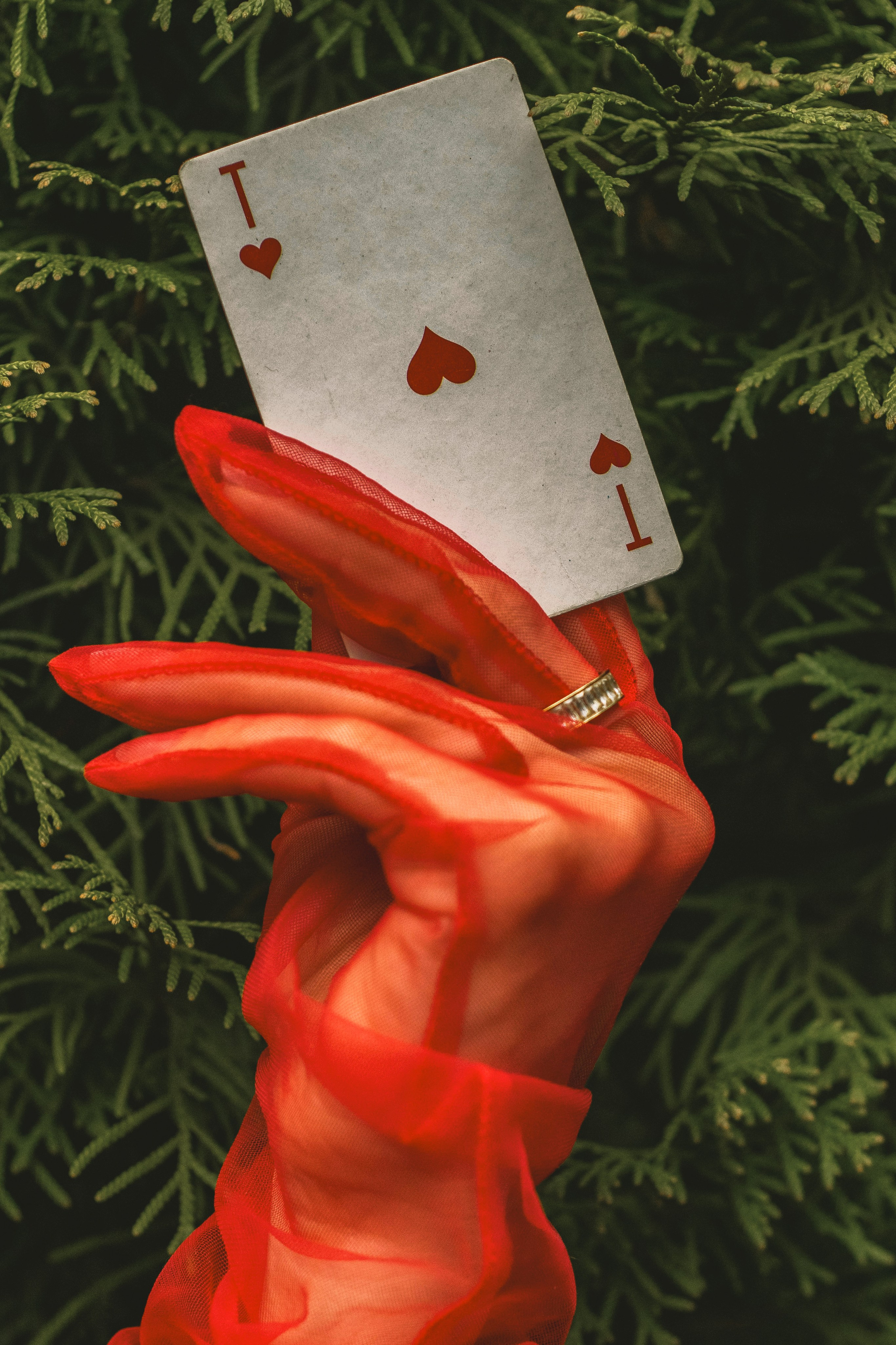 Марина | Красная королева. Varezhka photo | фотограф для души