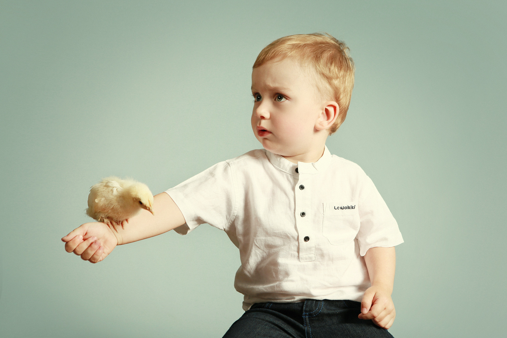 Детский фотограф . Фотосъемка с животными. Детский и семейный  фотограф в Москве. Ольга Луговая