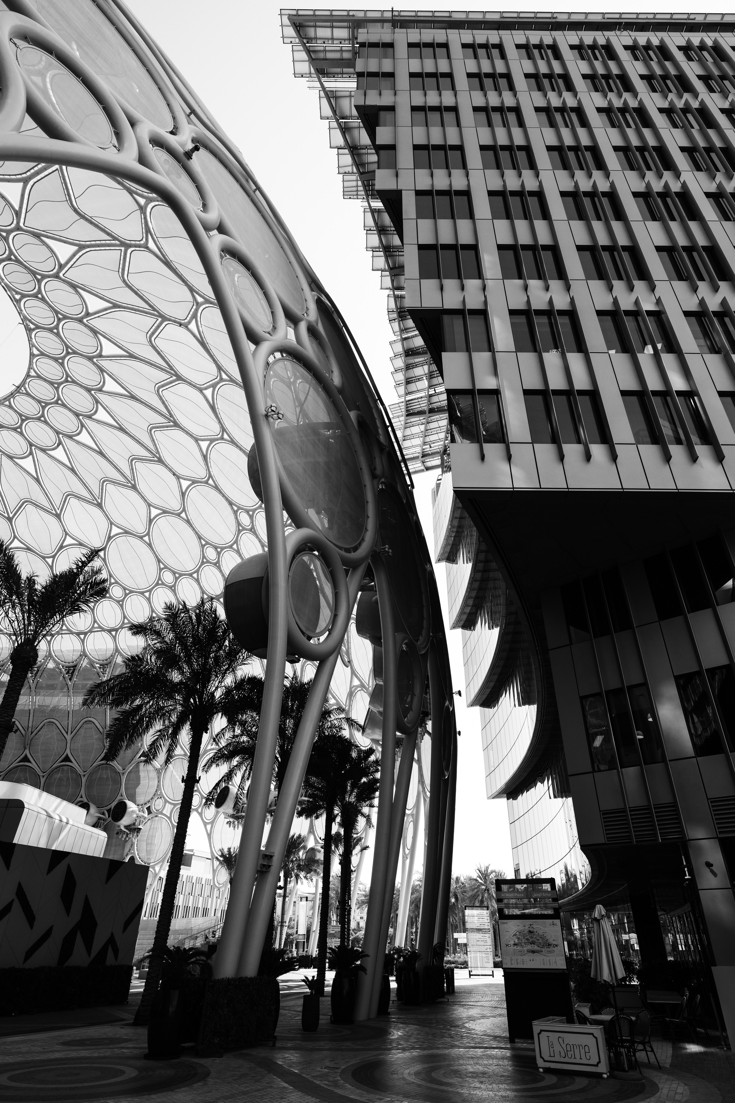 Дубай 2023. Руслан Плахтеев