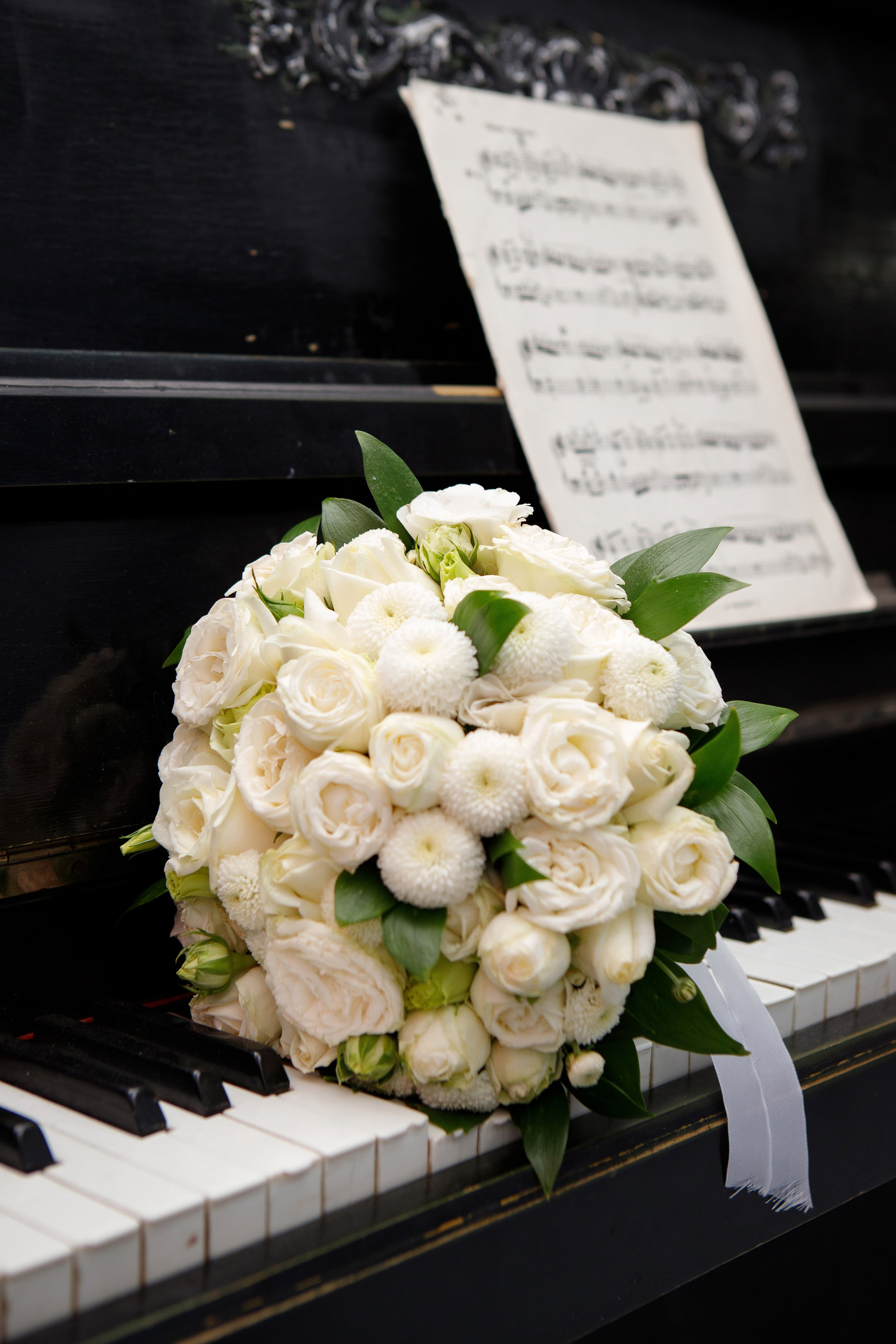 Дмитрий и Яна. Фотограф и Видеограф СКФО