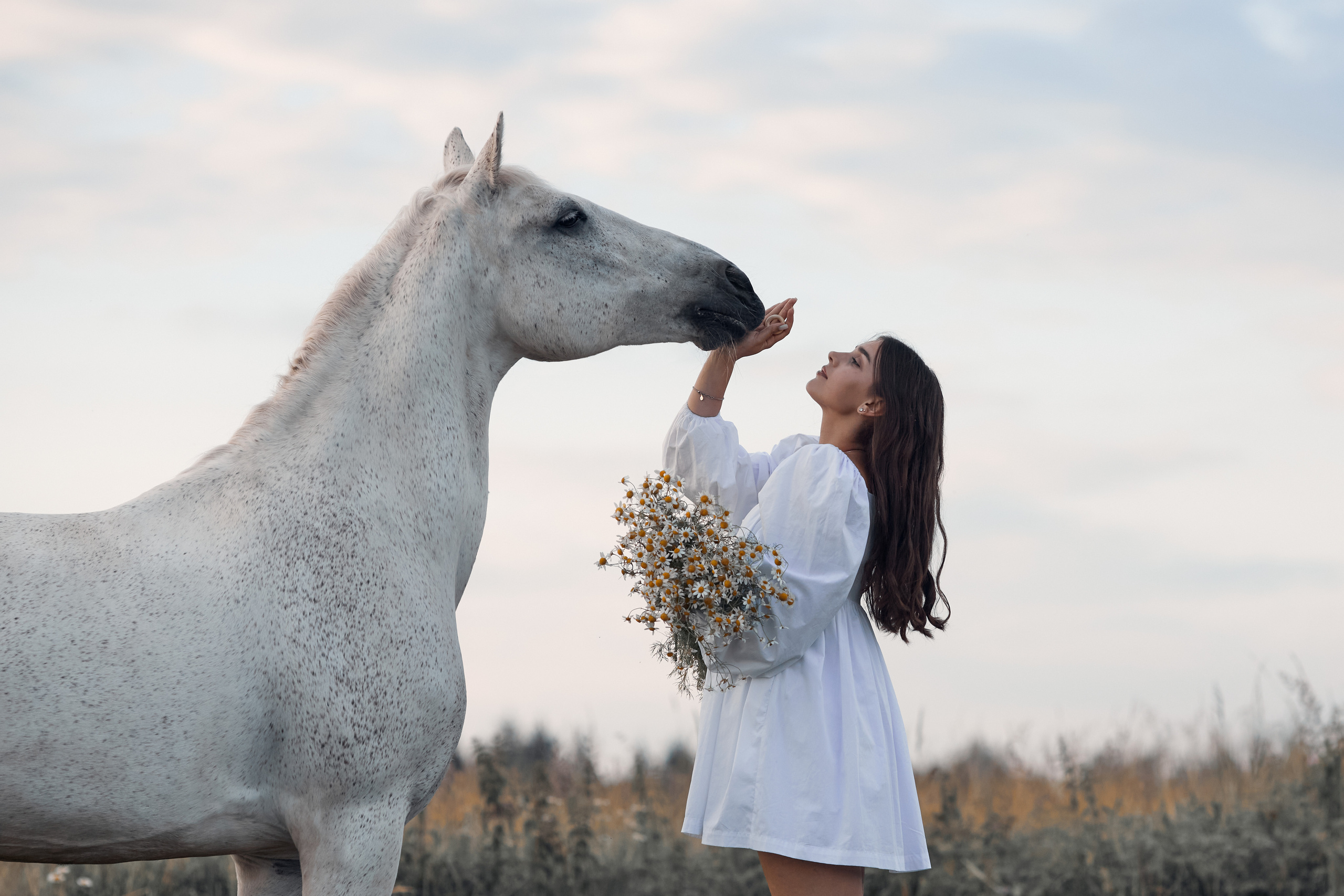 Соня и Каспер. Фотограф-анималист Мартынова Анастасия