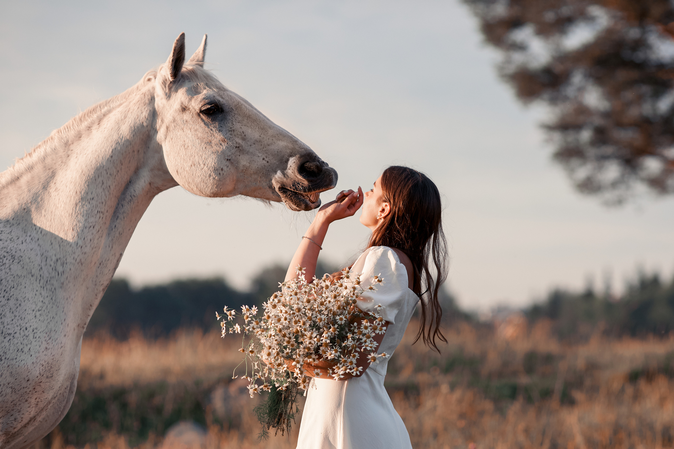 Соня и Каспер. Фотограф-анималист Мартынова Анастасия