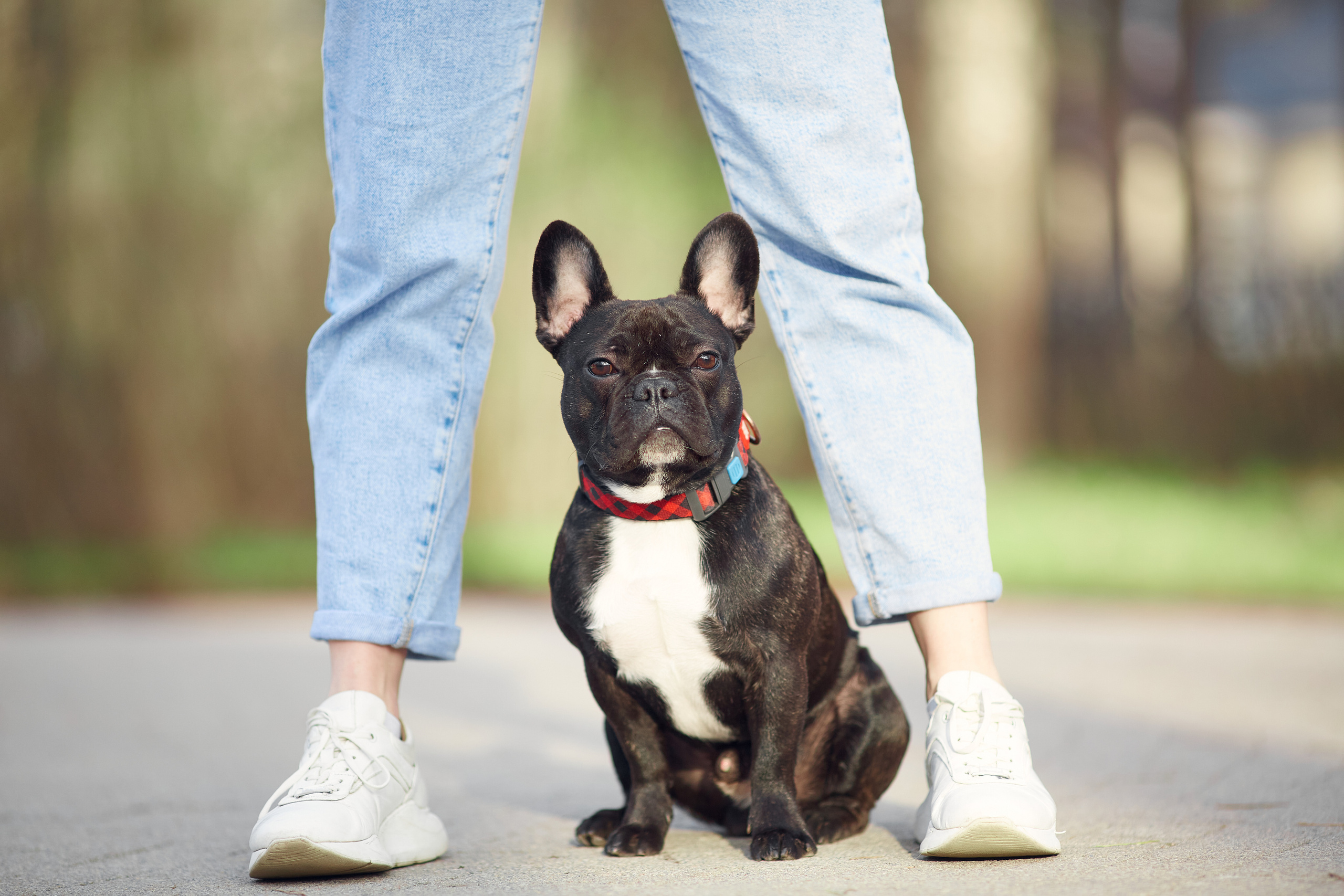 Ольга и Бёртон. Фотограф-анималист Мартынова Анастасия