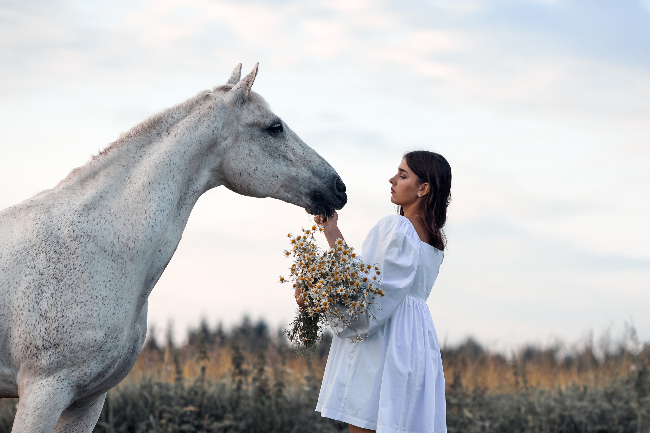 Соня и Каспер. Фотограф-анималист Мартынова Анастасия