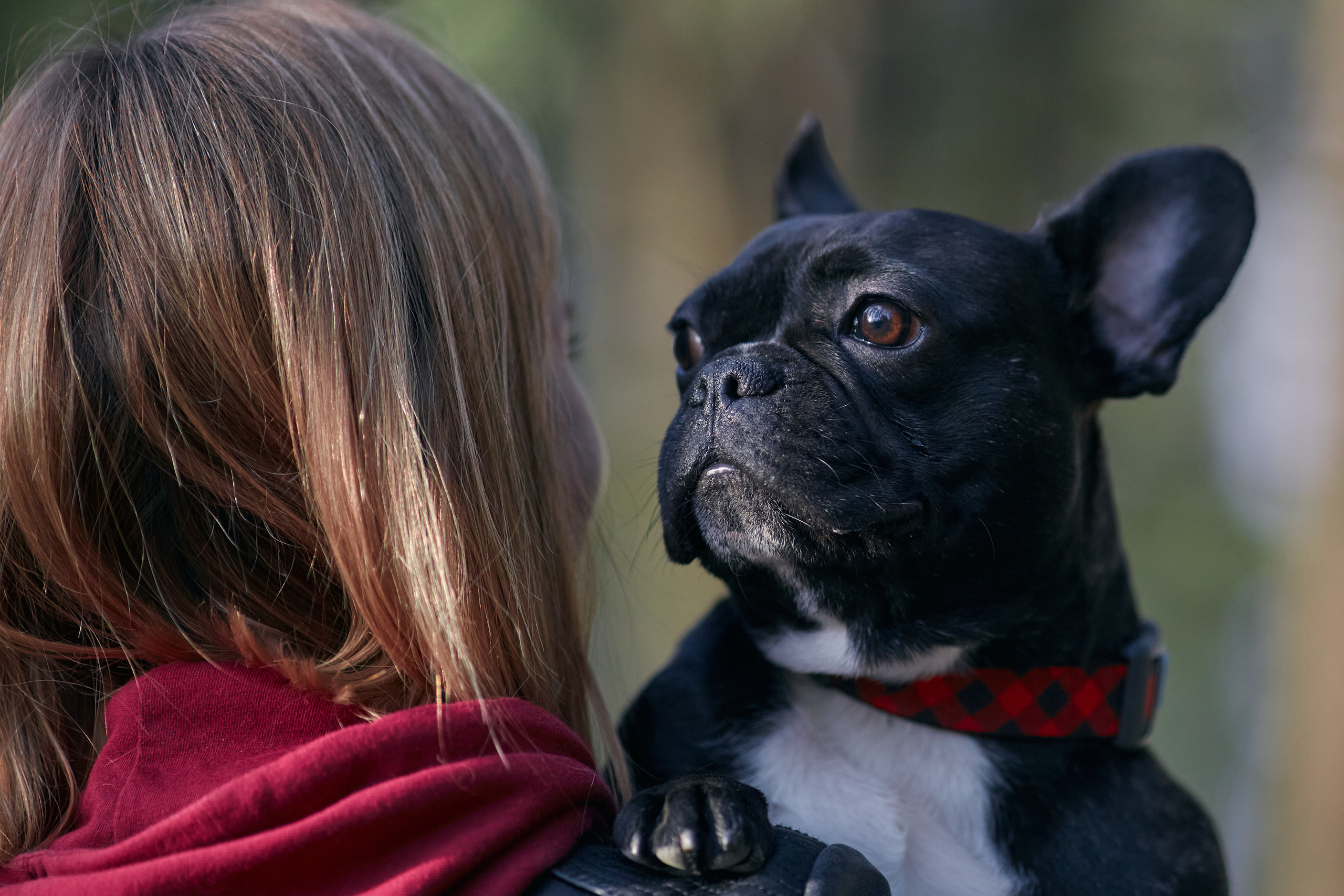 Ольга и Бёртон. Фотограф-анималист Мартынова Анастасия