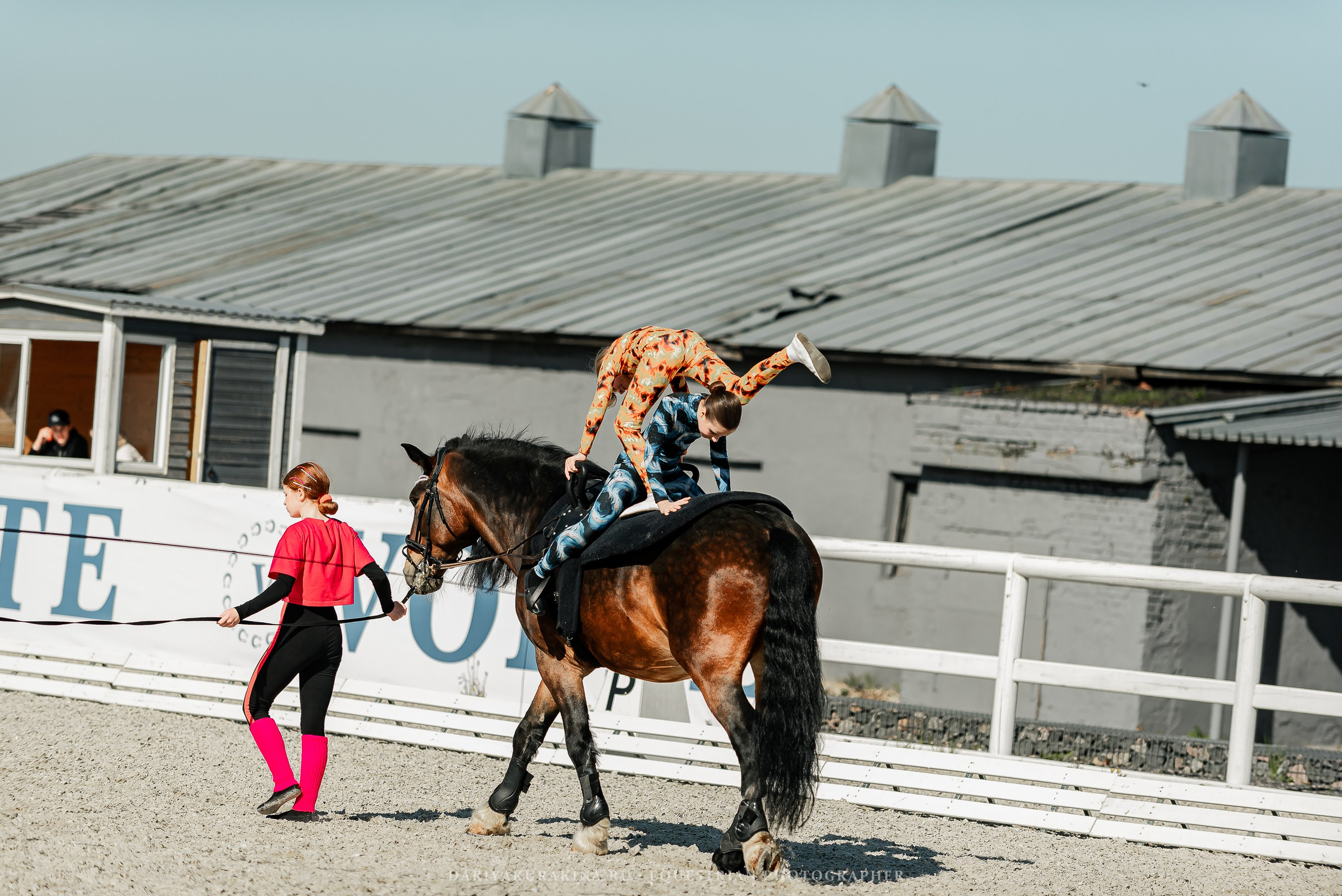 РЕПОРТАЖ МКК ВОЛЬТ «LA TULIPS». Конный фотограф Куракина Дарья • Фотосессии с лошадьми