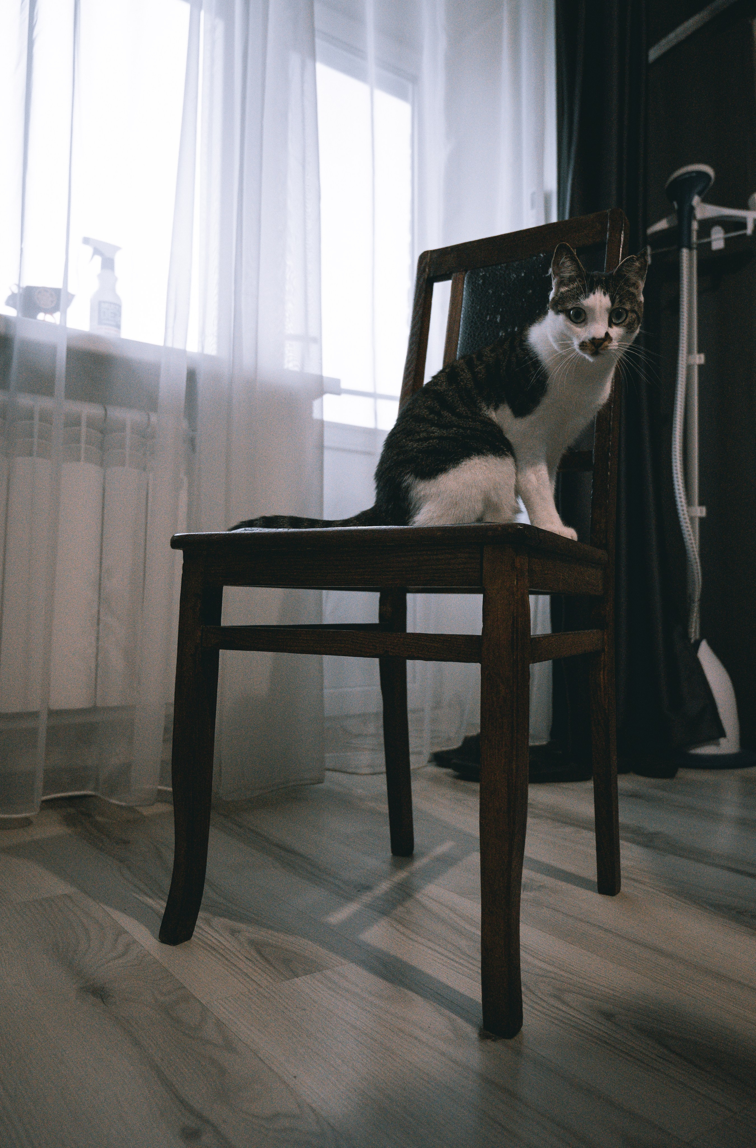 Влад и Вика