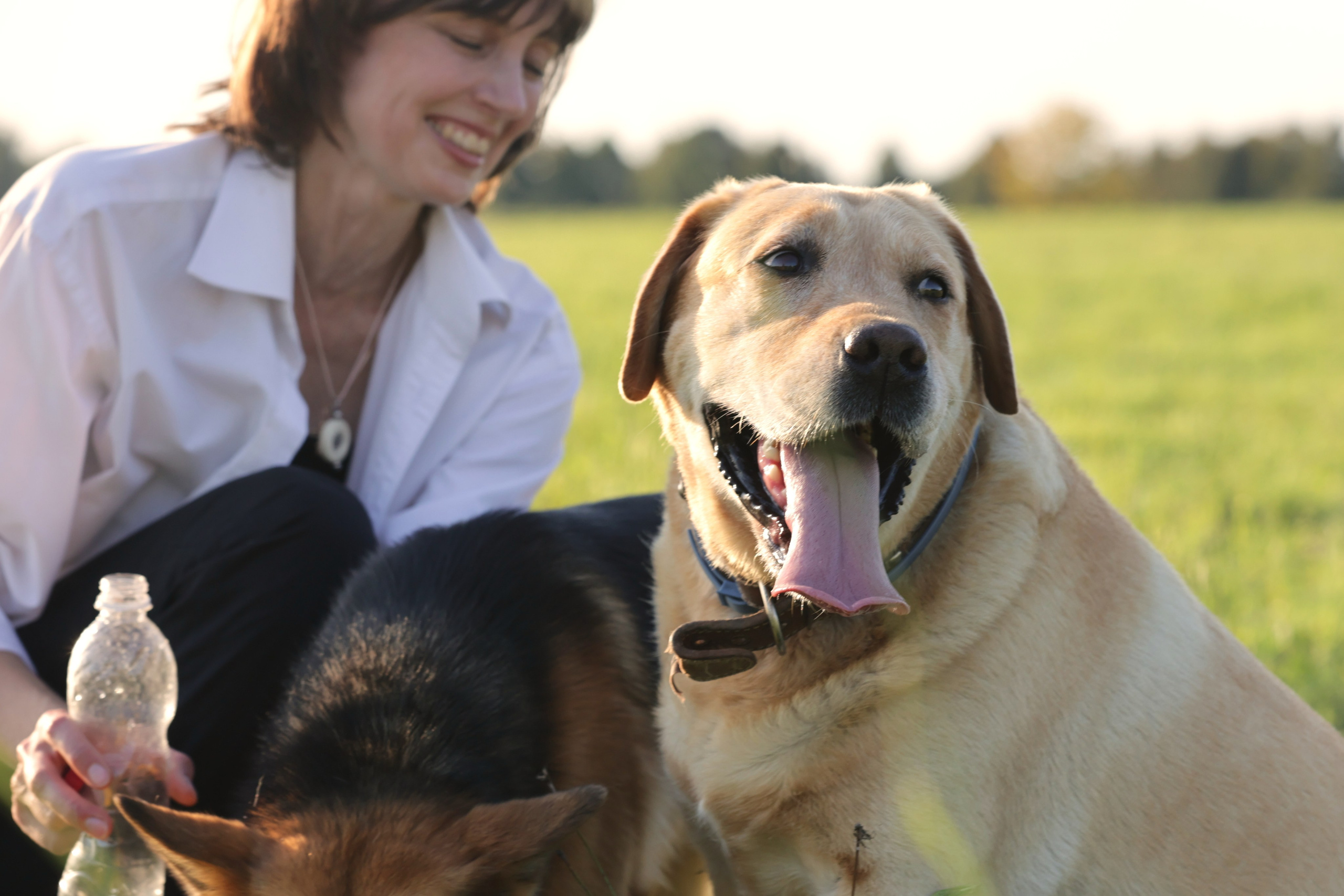 фотосессия с собакой