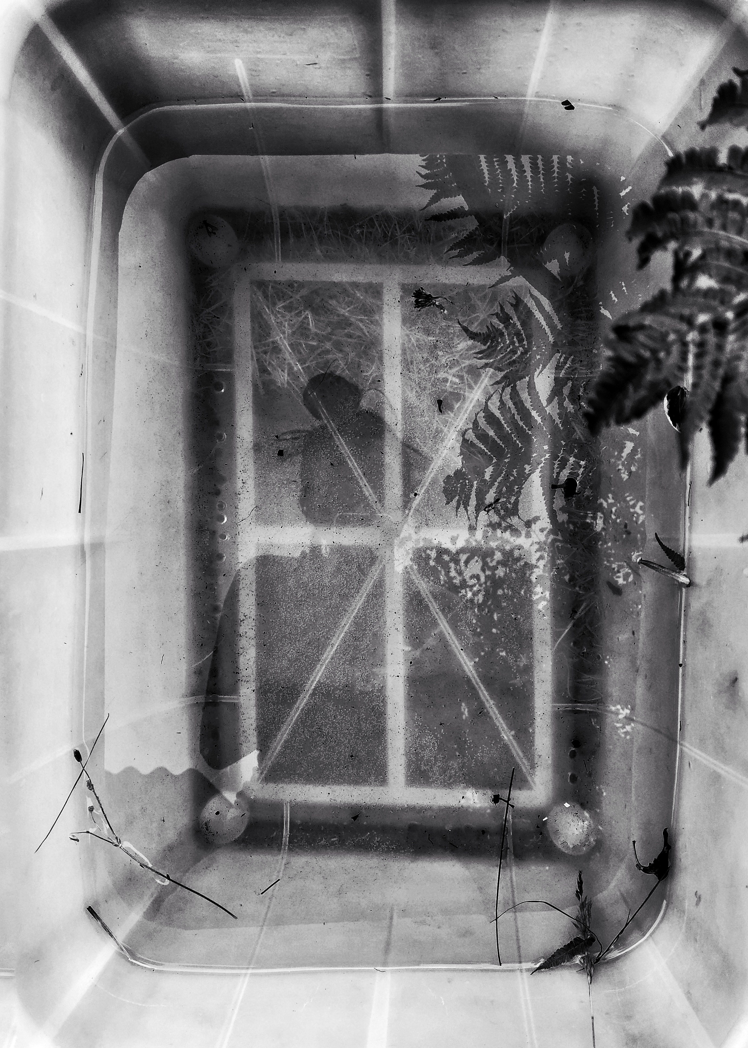 Бесшумная фотография. Tatyana Mazok творческий фотограф в Минске