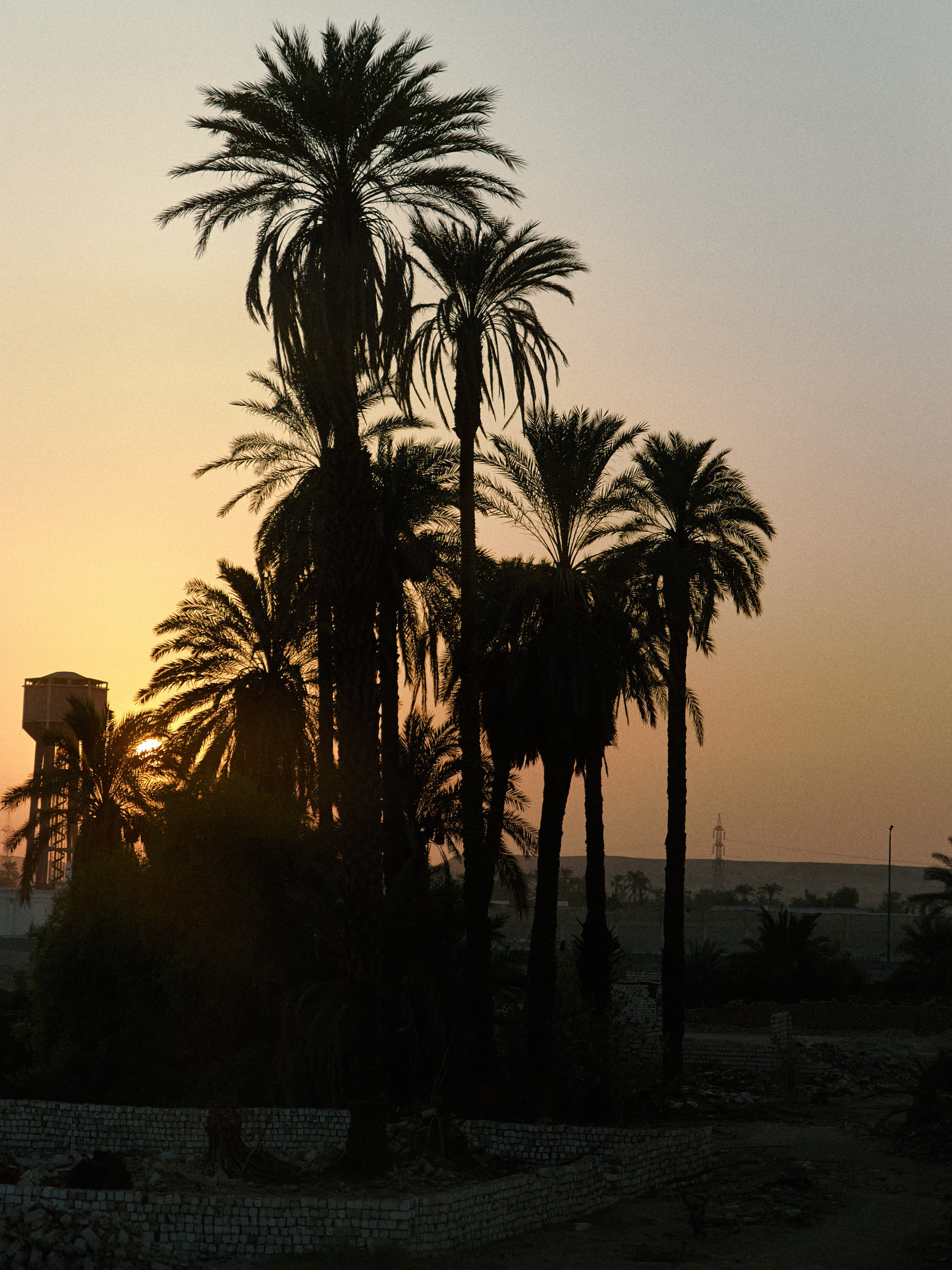 Другое 2. Jorgis Talè — photographer, kind person, teacher of arts and other mag