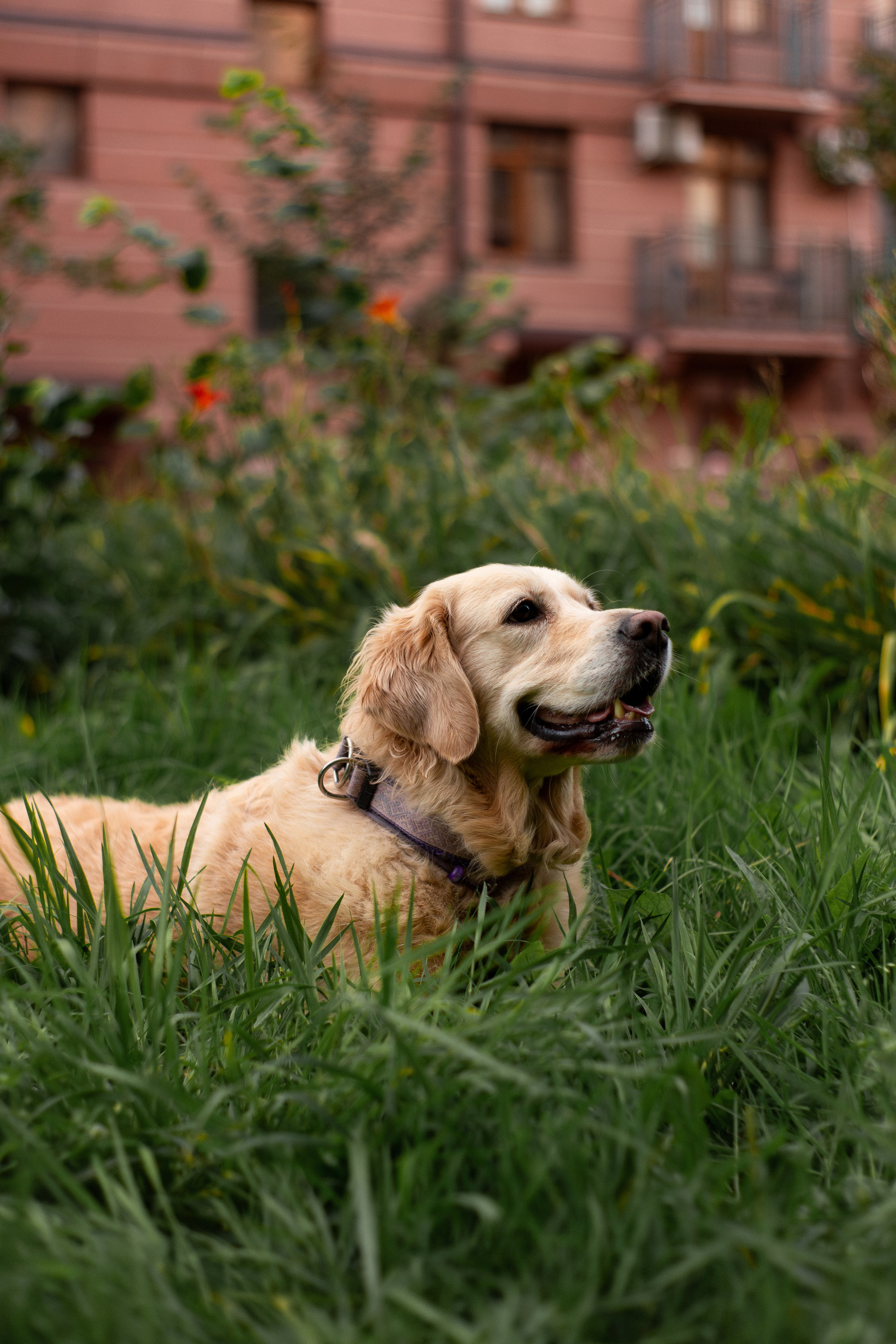 Юля и Мэй. Фотограф-анималист Мария Баркевич | Москва