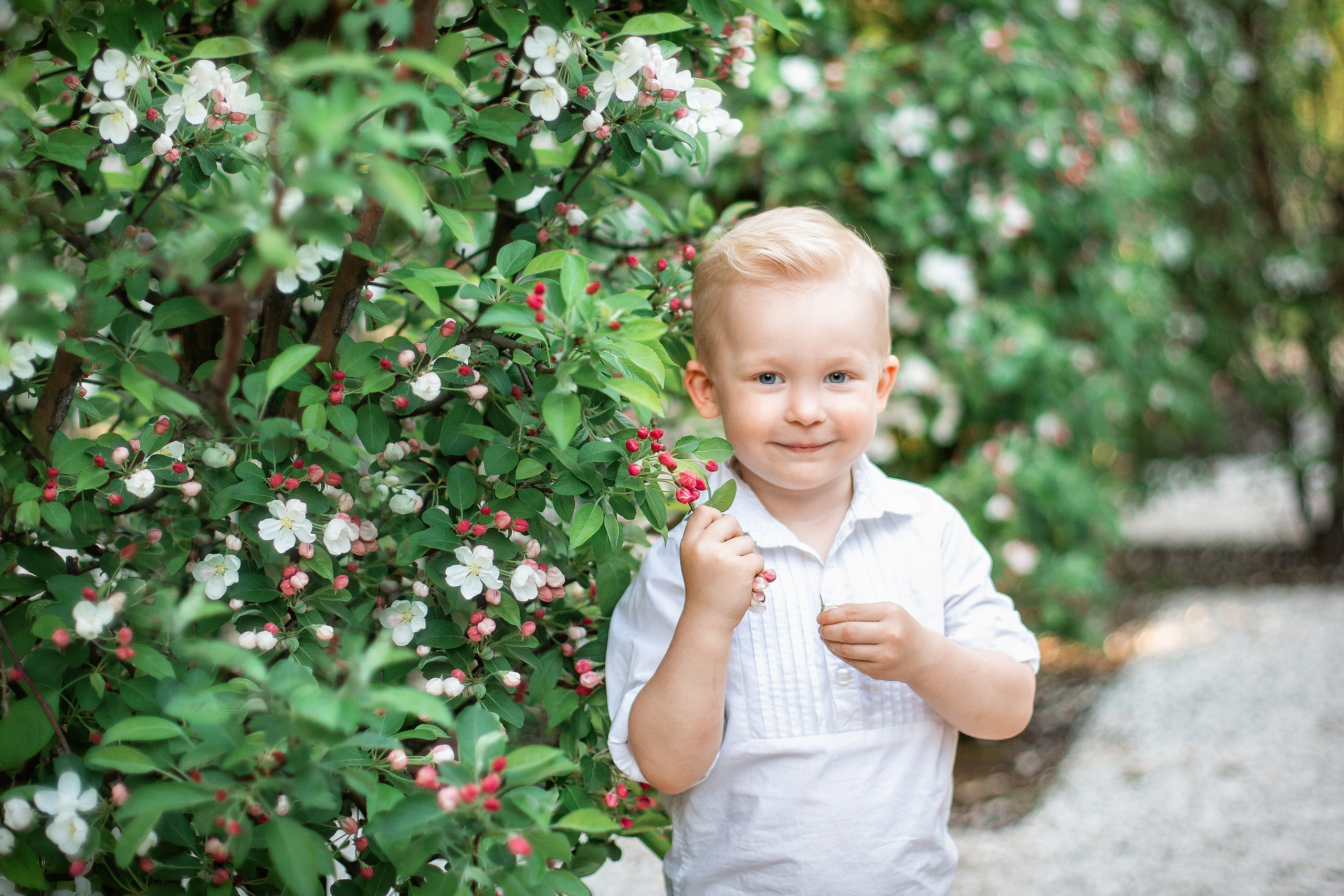 Портфолио. Elena Smith. Семейный и детский фотограф