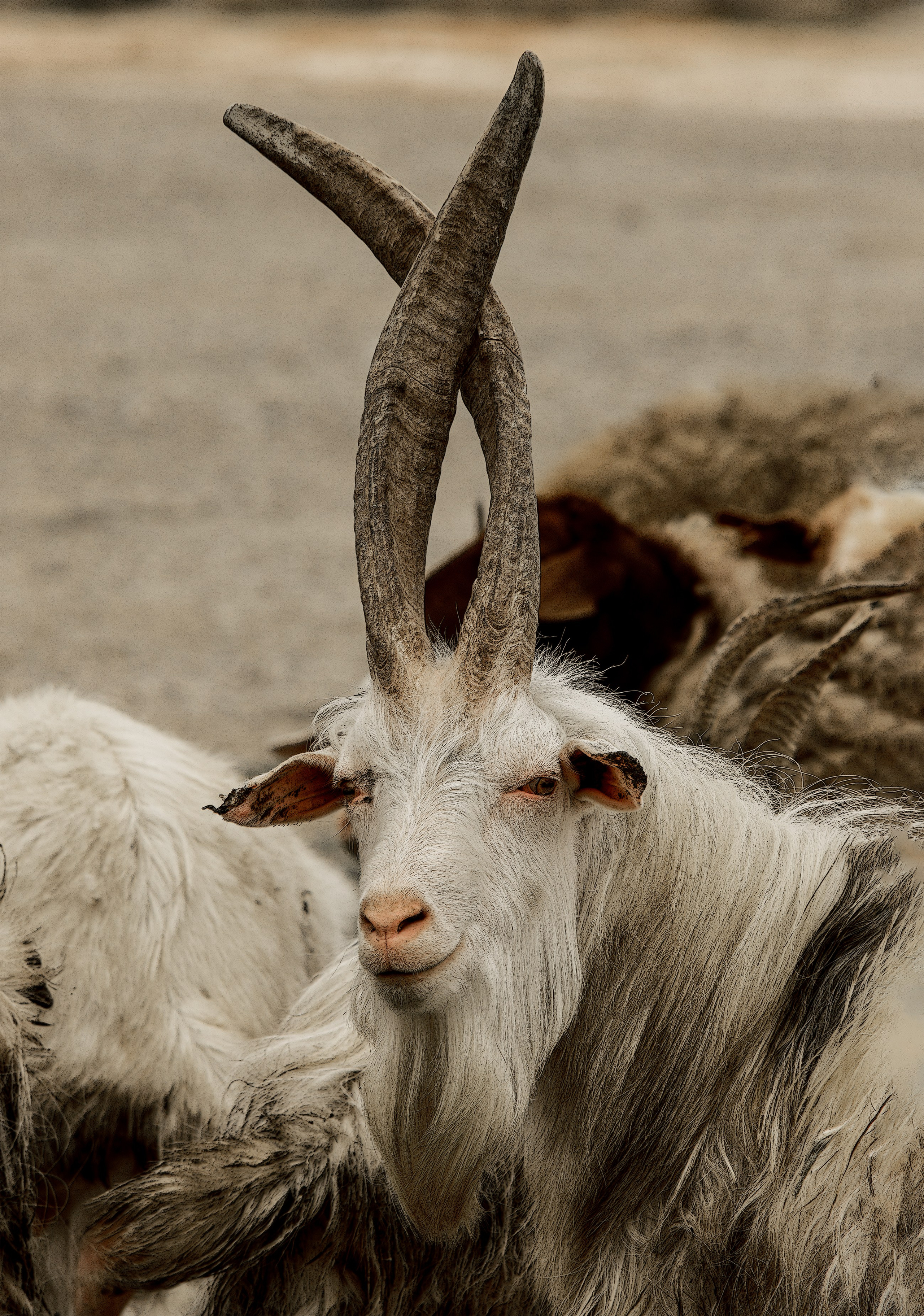 Unforgettable Caucasus (in progress). Art Рhotographer Russia/Moscow
