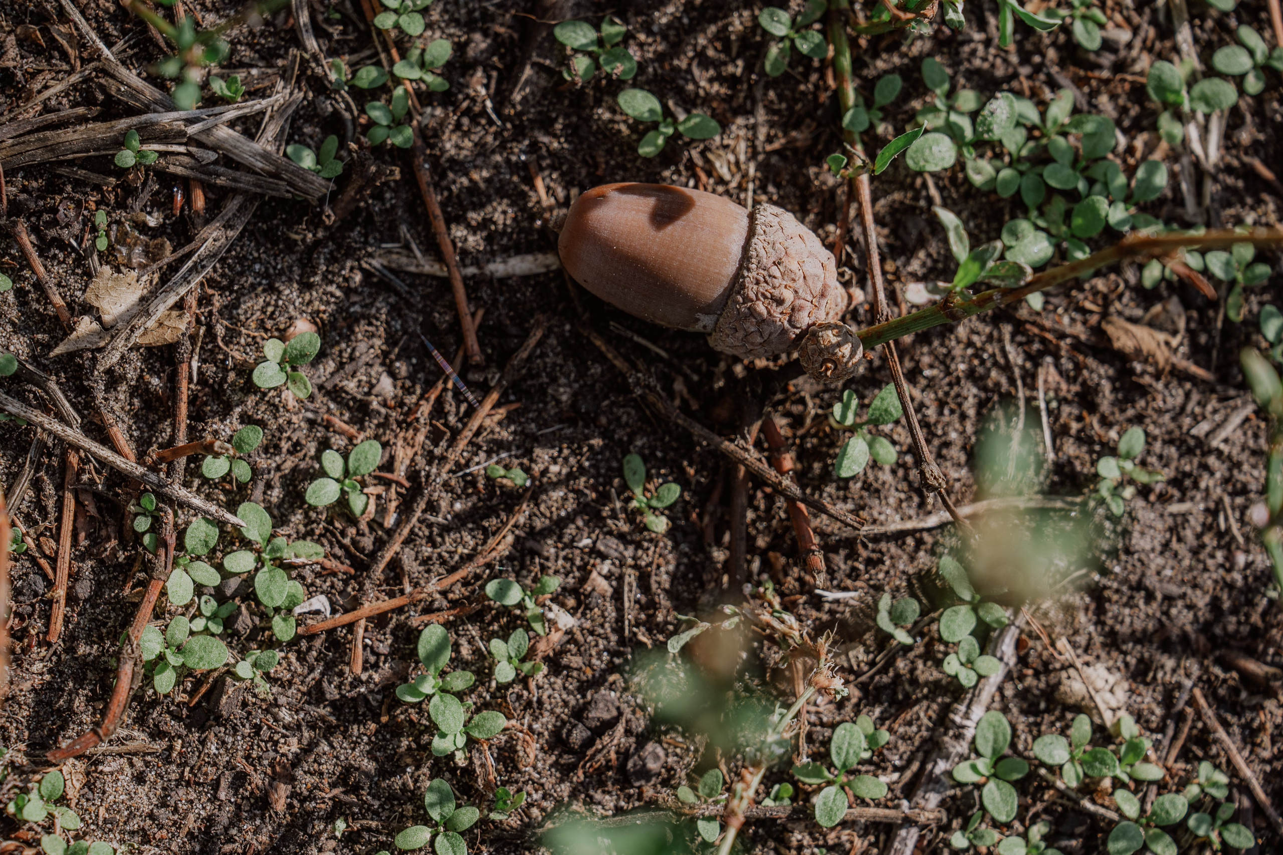 Сергей и Вероника 2024