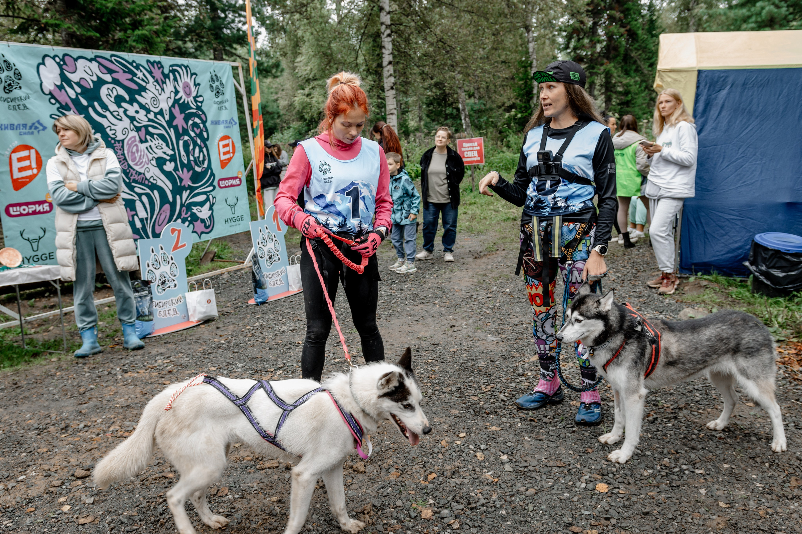 Дог-треккинг