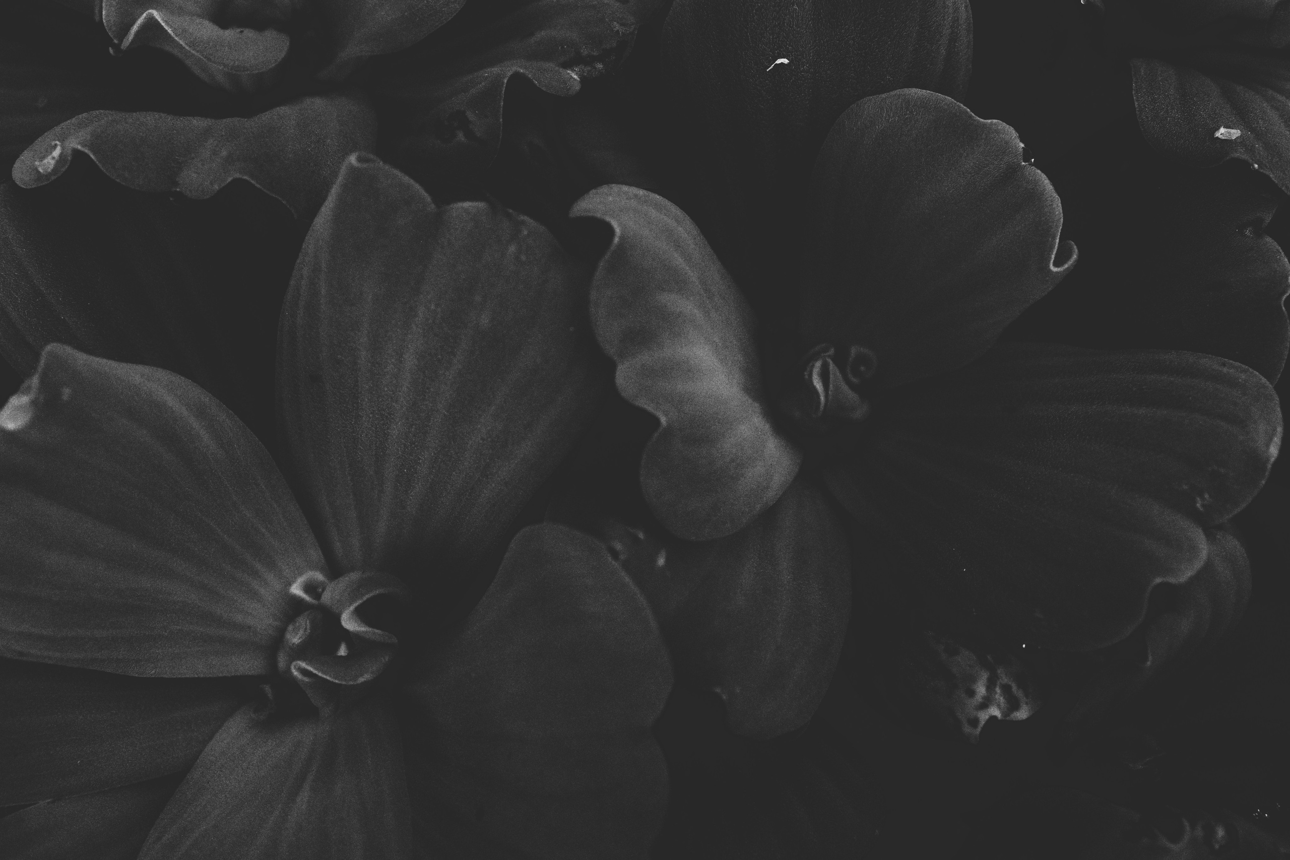 Where my favorite writer lived / Samui 2024. POLINA MÔMOT