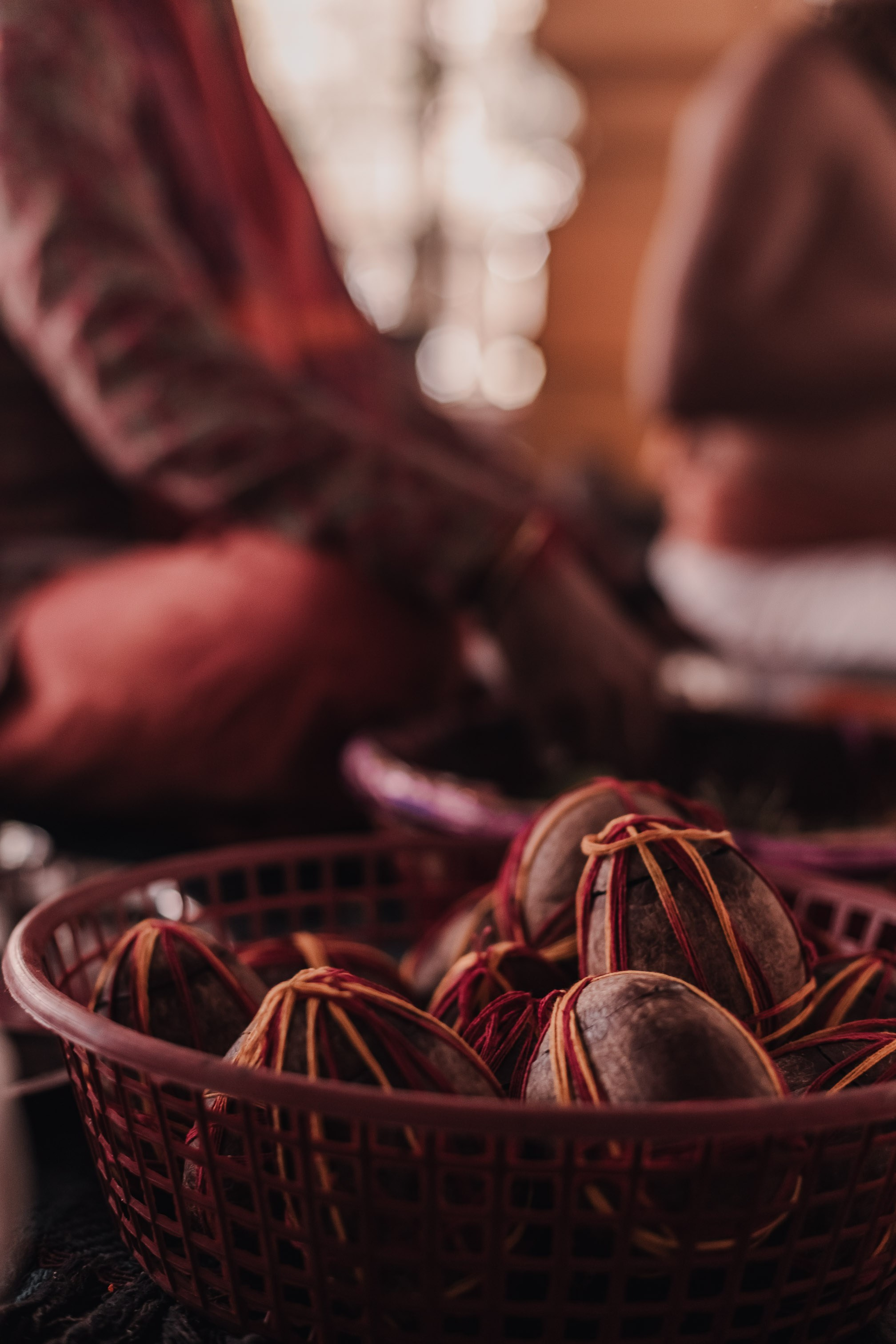 Navaratri yajna at Devraha Baba Ji ashram. Мариам Багдасарян