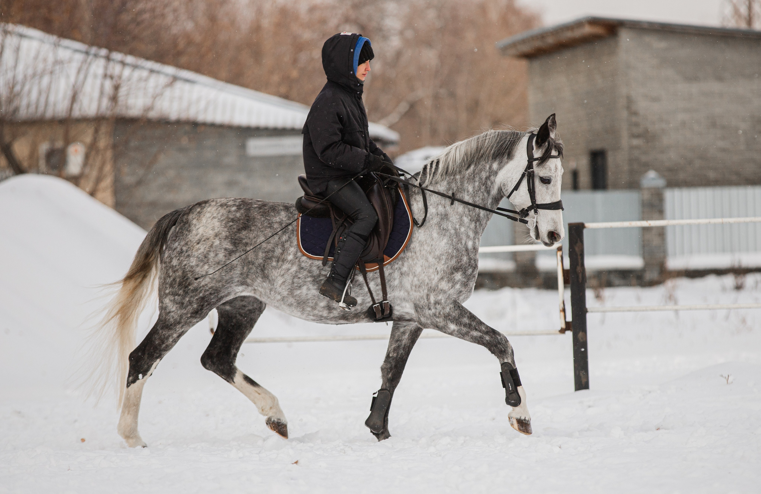 Для конников. Главная
