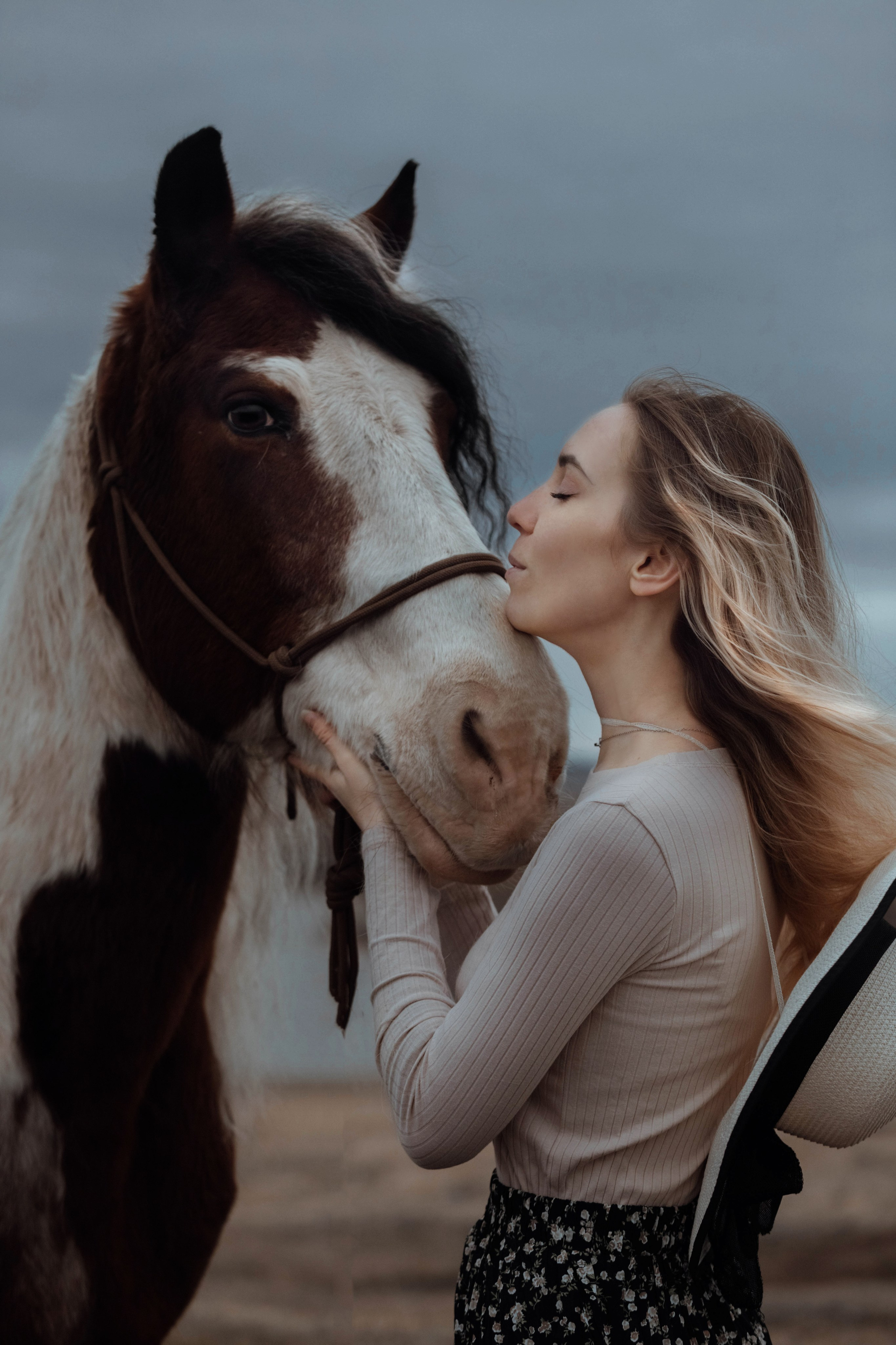 Человек и Лошадь. Главная