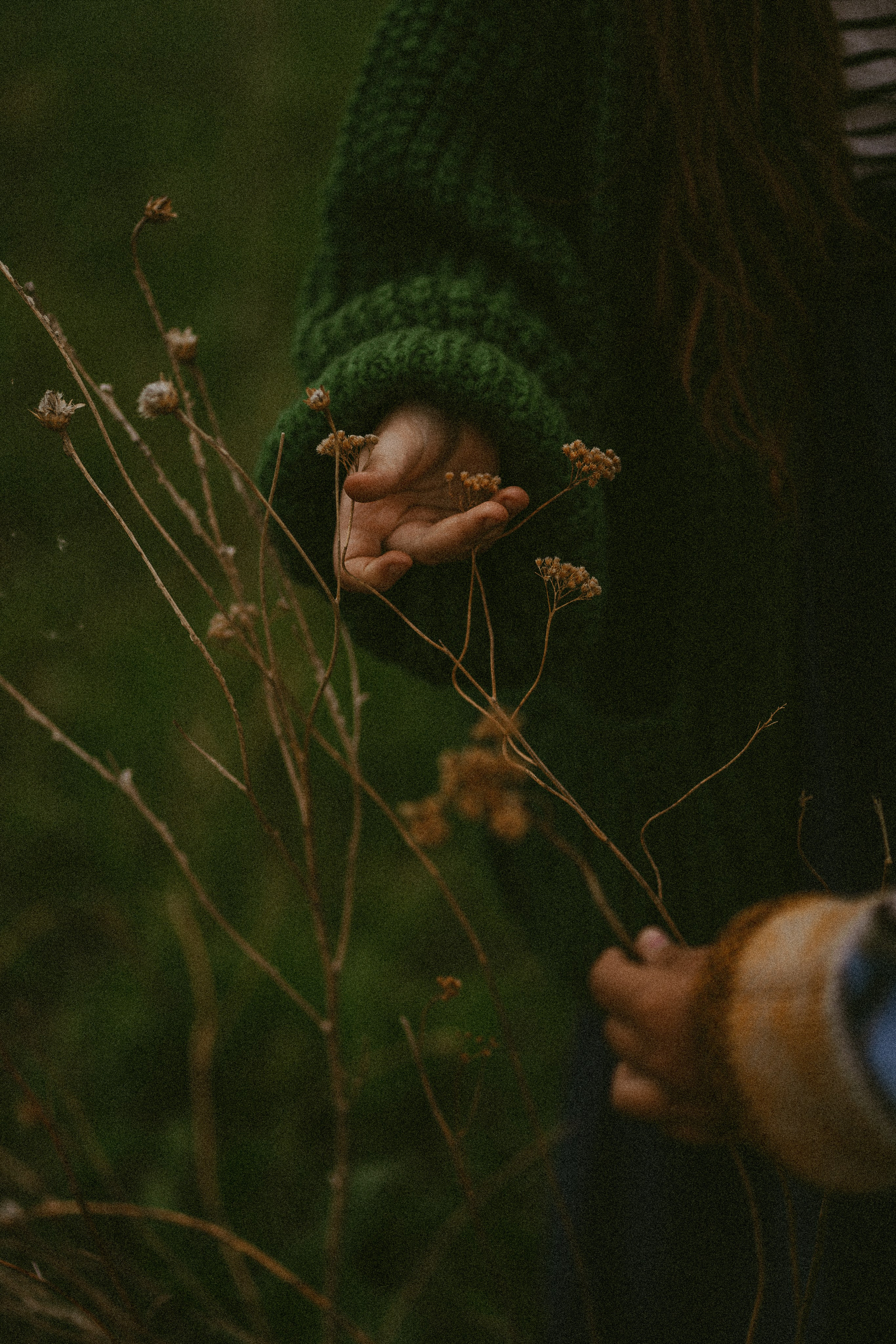 Когда деревья были большими. Семейный фотограф в Калининграде Елена Глазунова