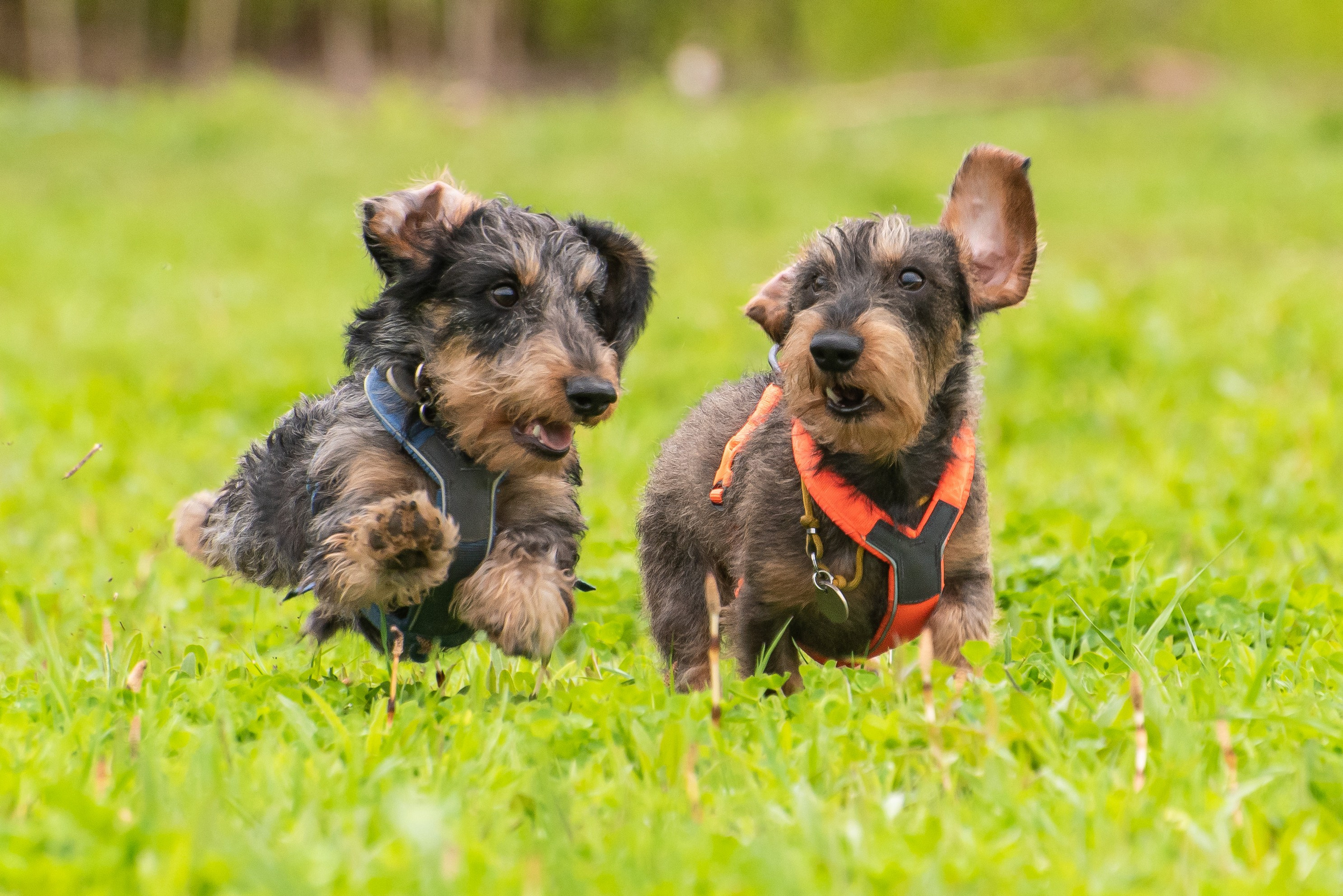 Фотографии с Курсинга. Фотограф Макс Огурцов в Нижнем Новгороде