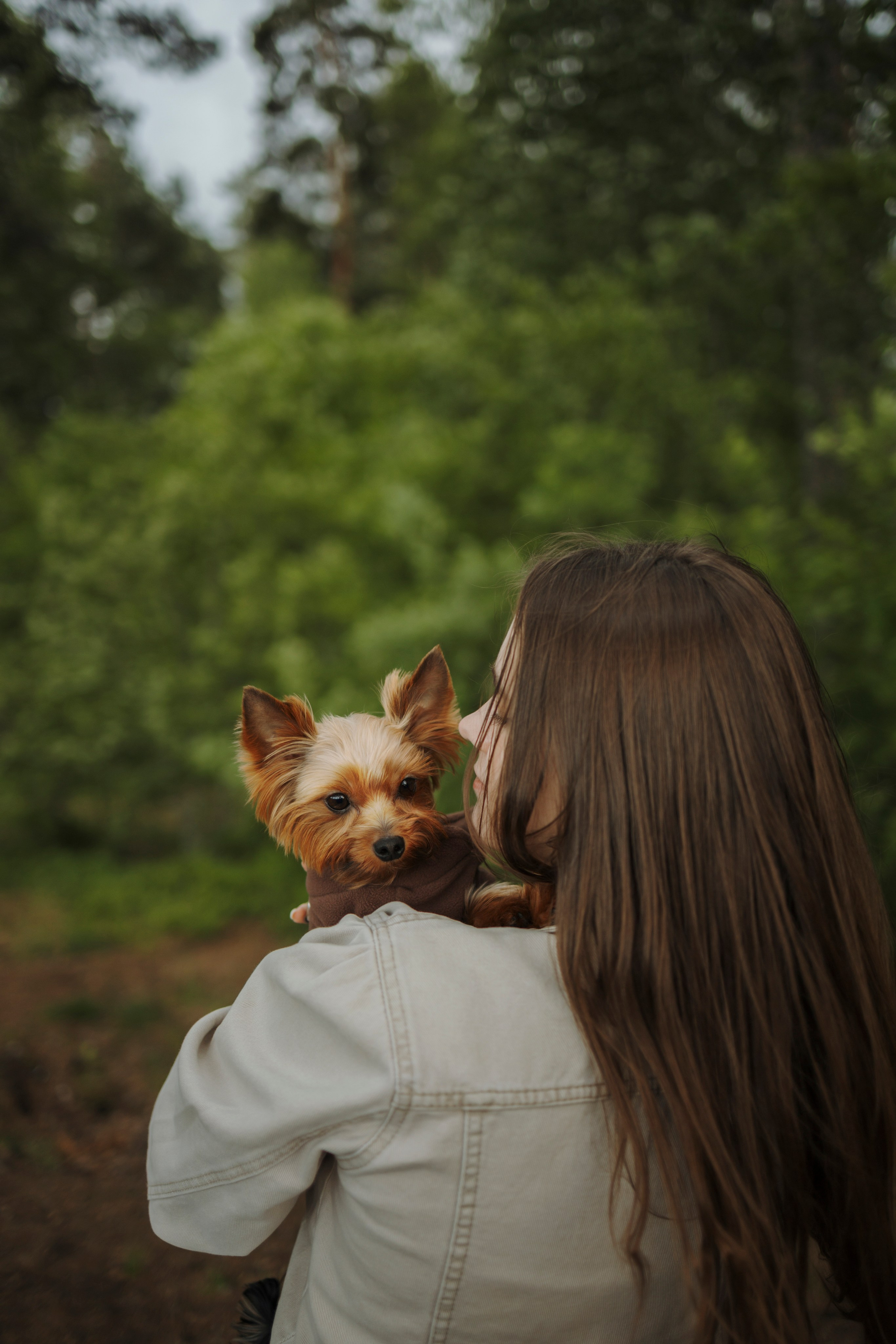 День из жизни Чуи и его семьи. Фотограф-анималист в Санкт-Петеребурге Титова Алиса